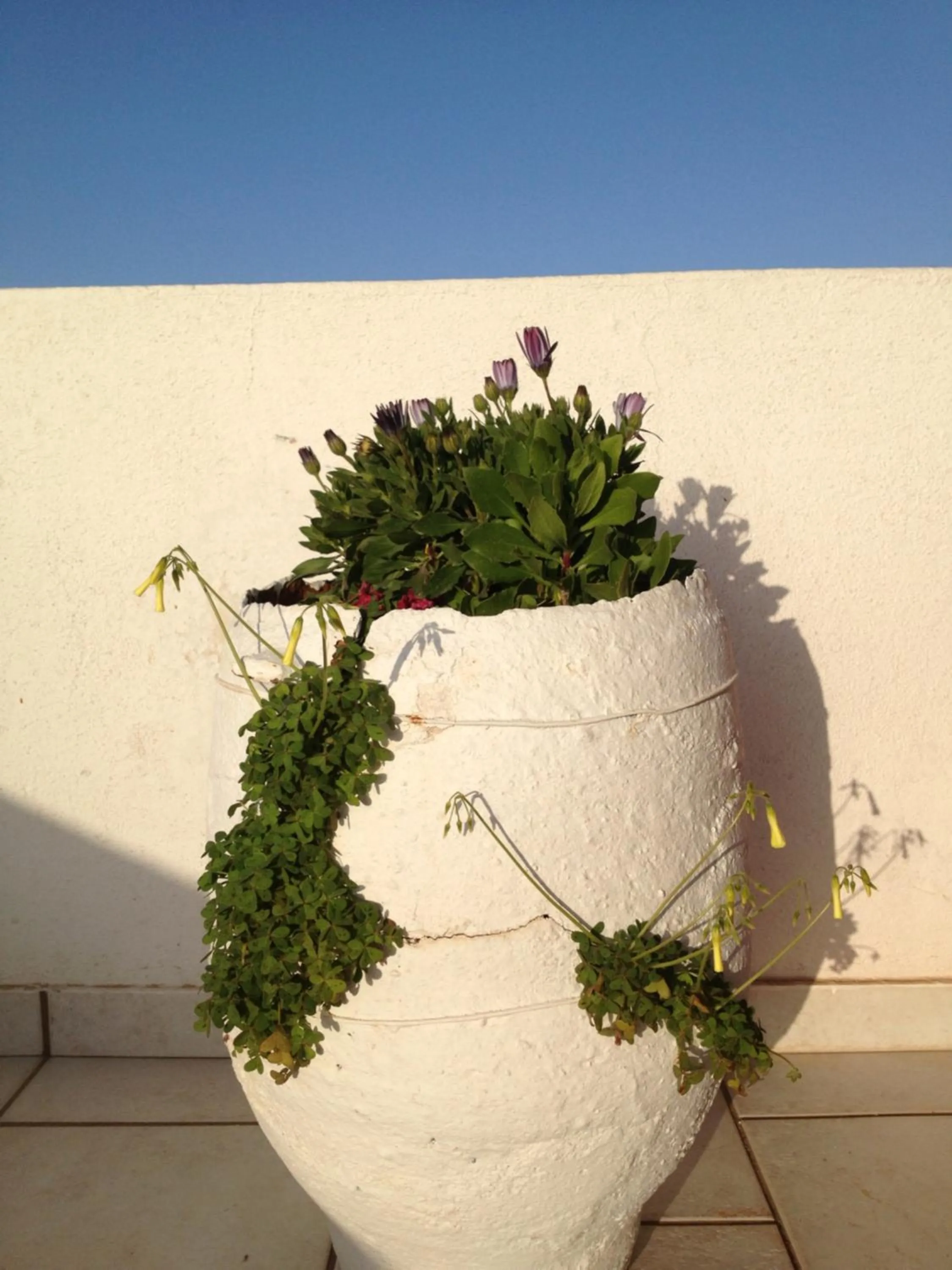 Spring in Nakou Village