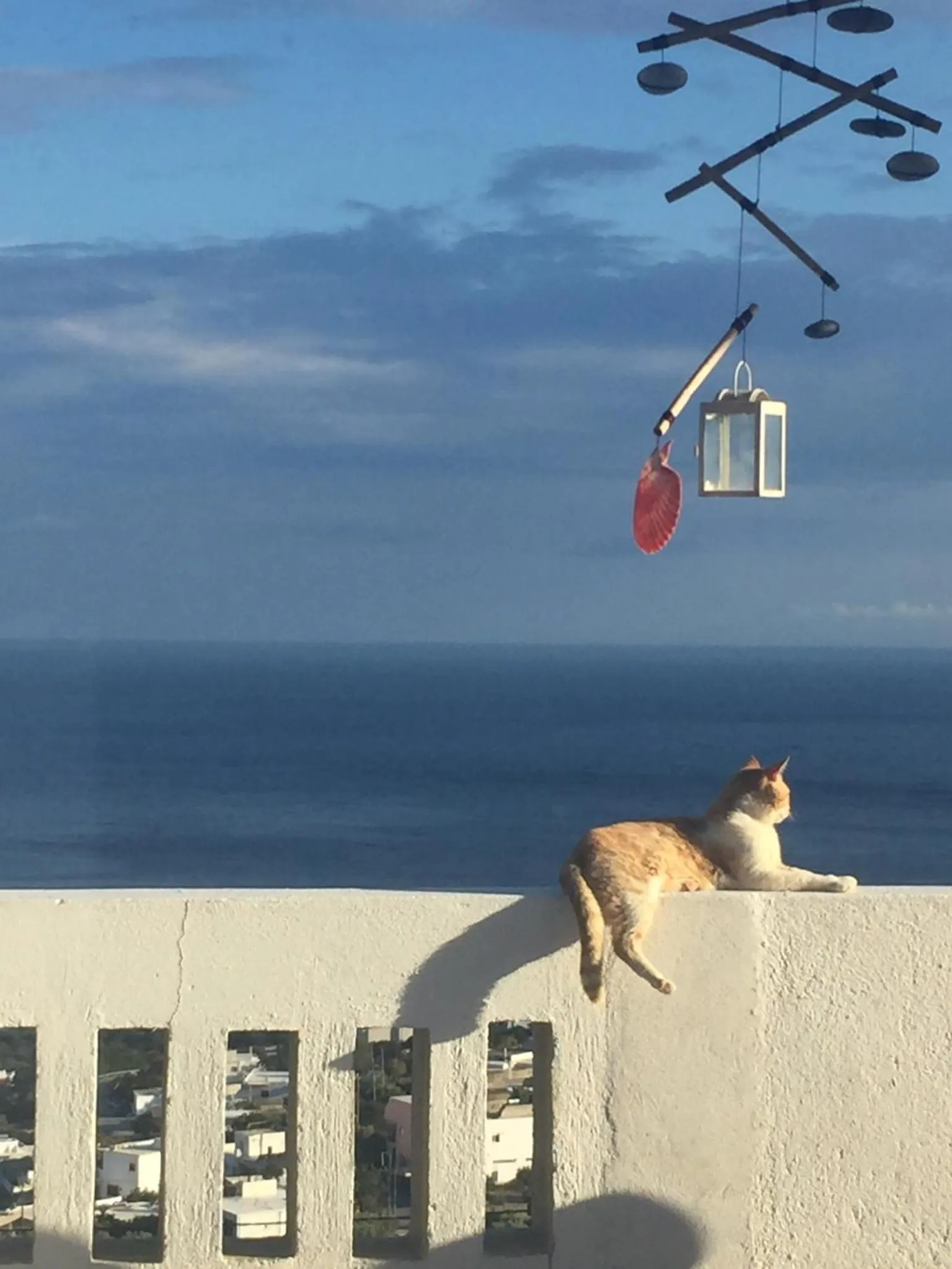 Pets in Nakou Village