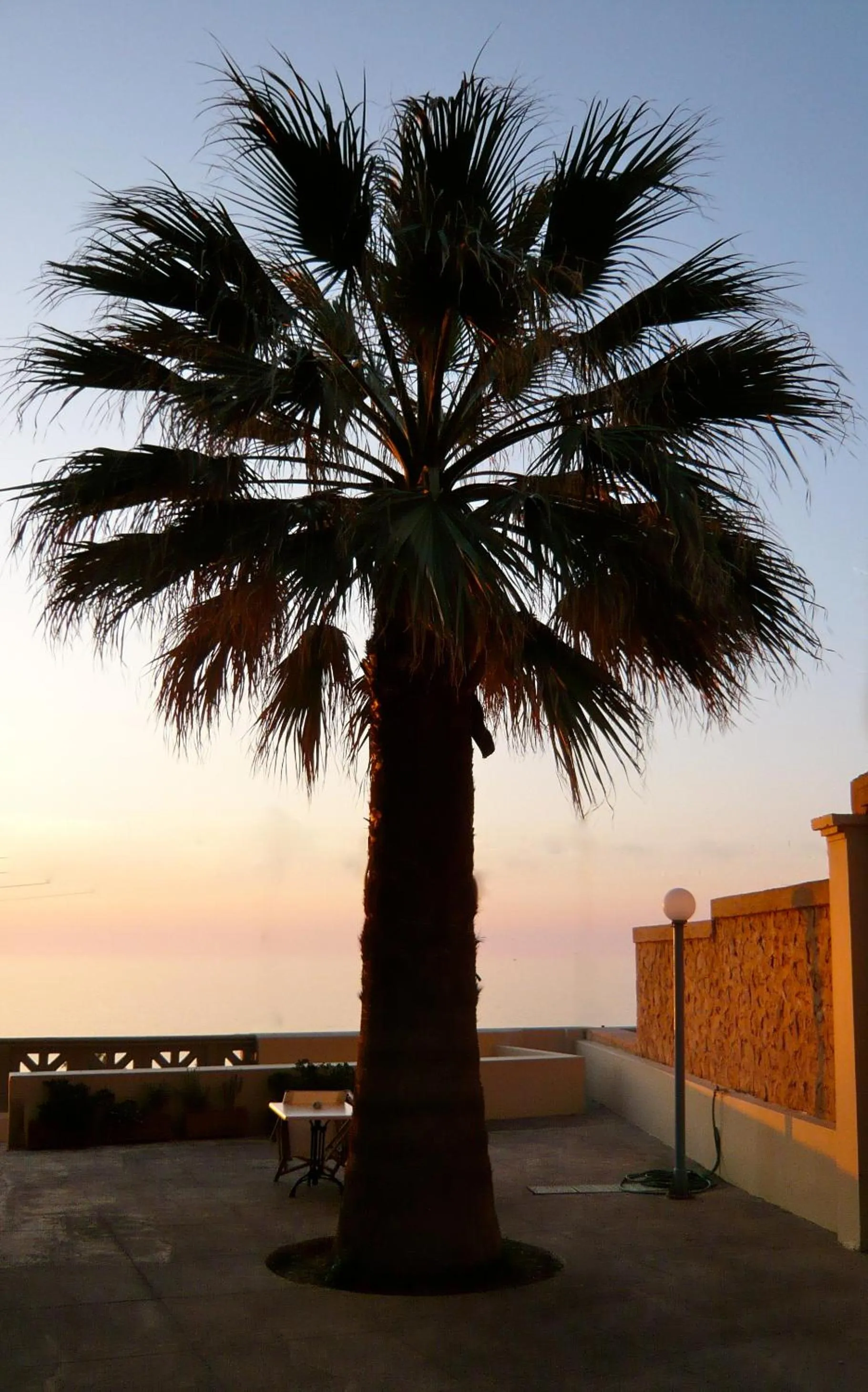 Decorative detail in Villa Andromeda