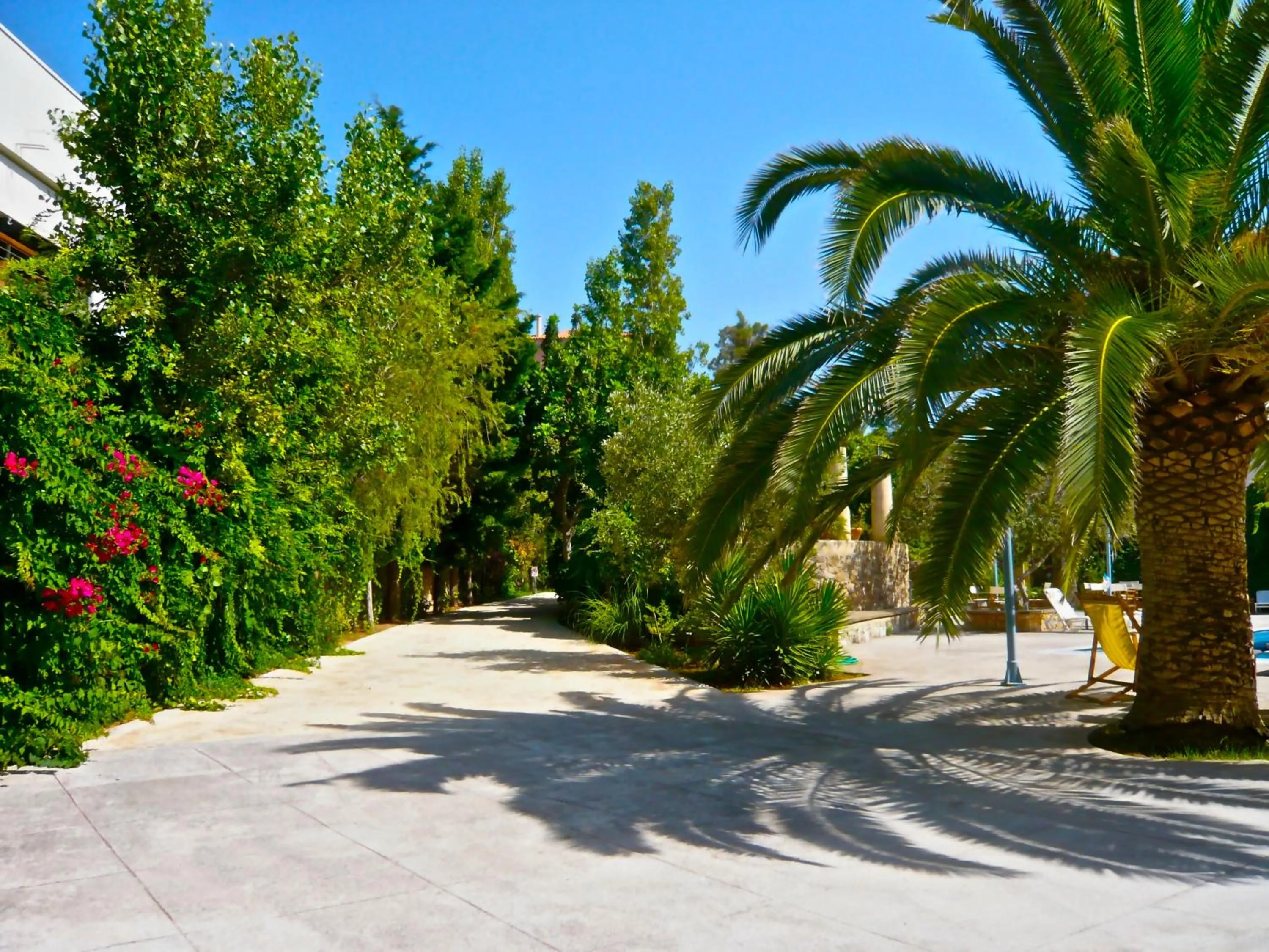 Garden in Villa Andromeda