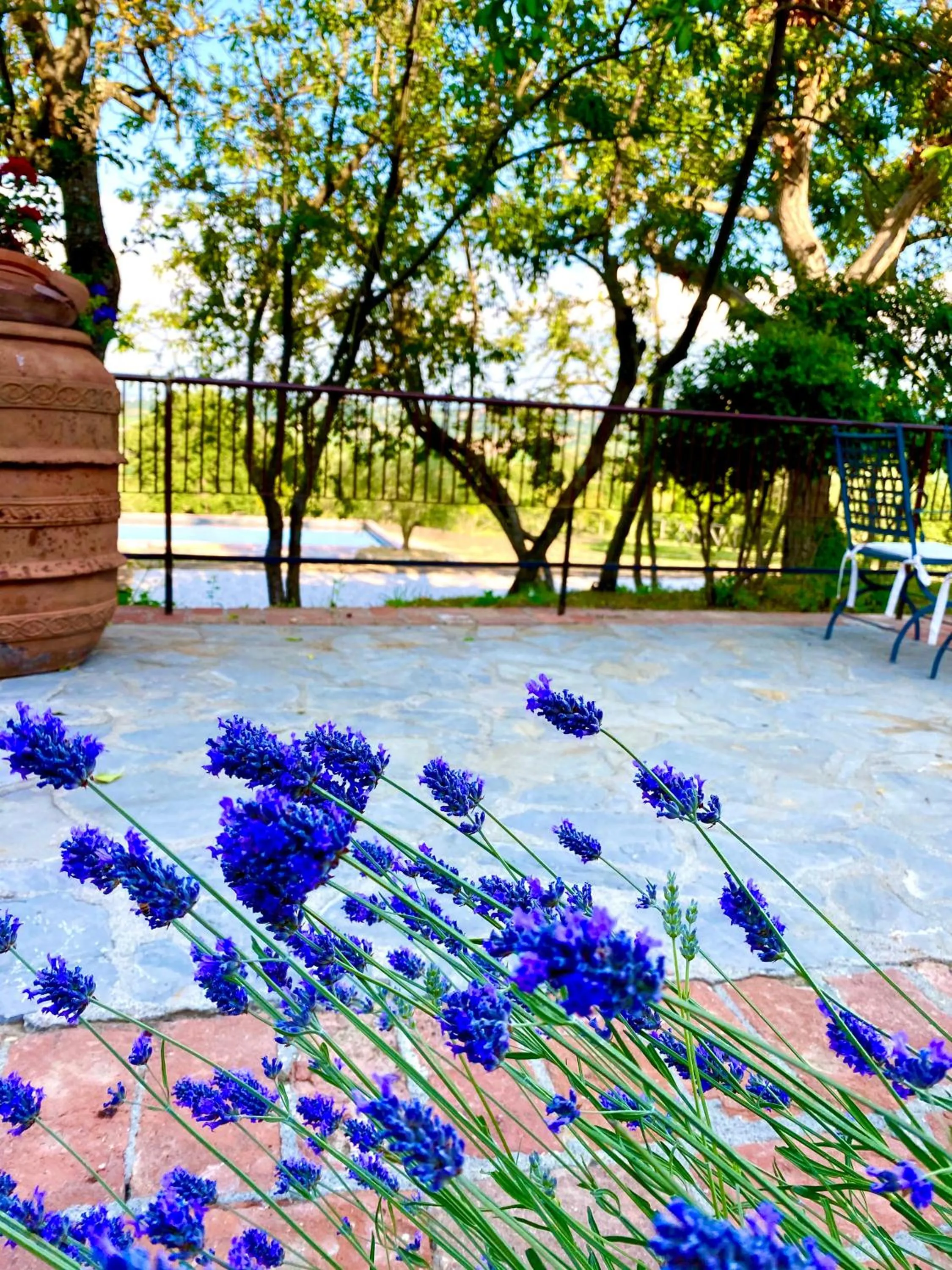 Activities in LaChiusa Tuscany