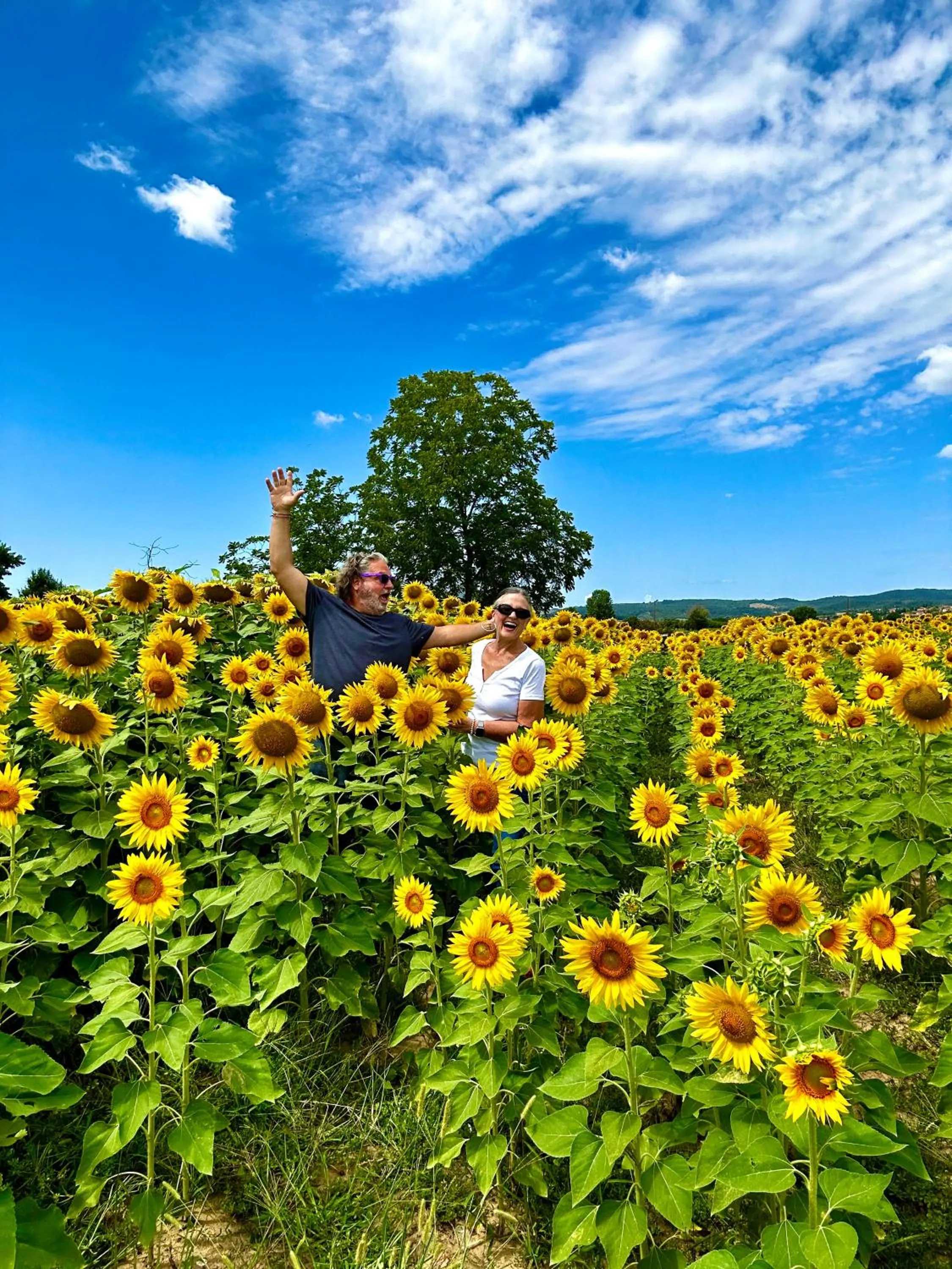 View (from property/room) in LaChiusa Tuscany