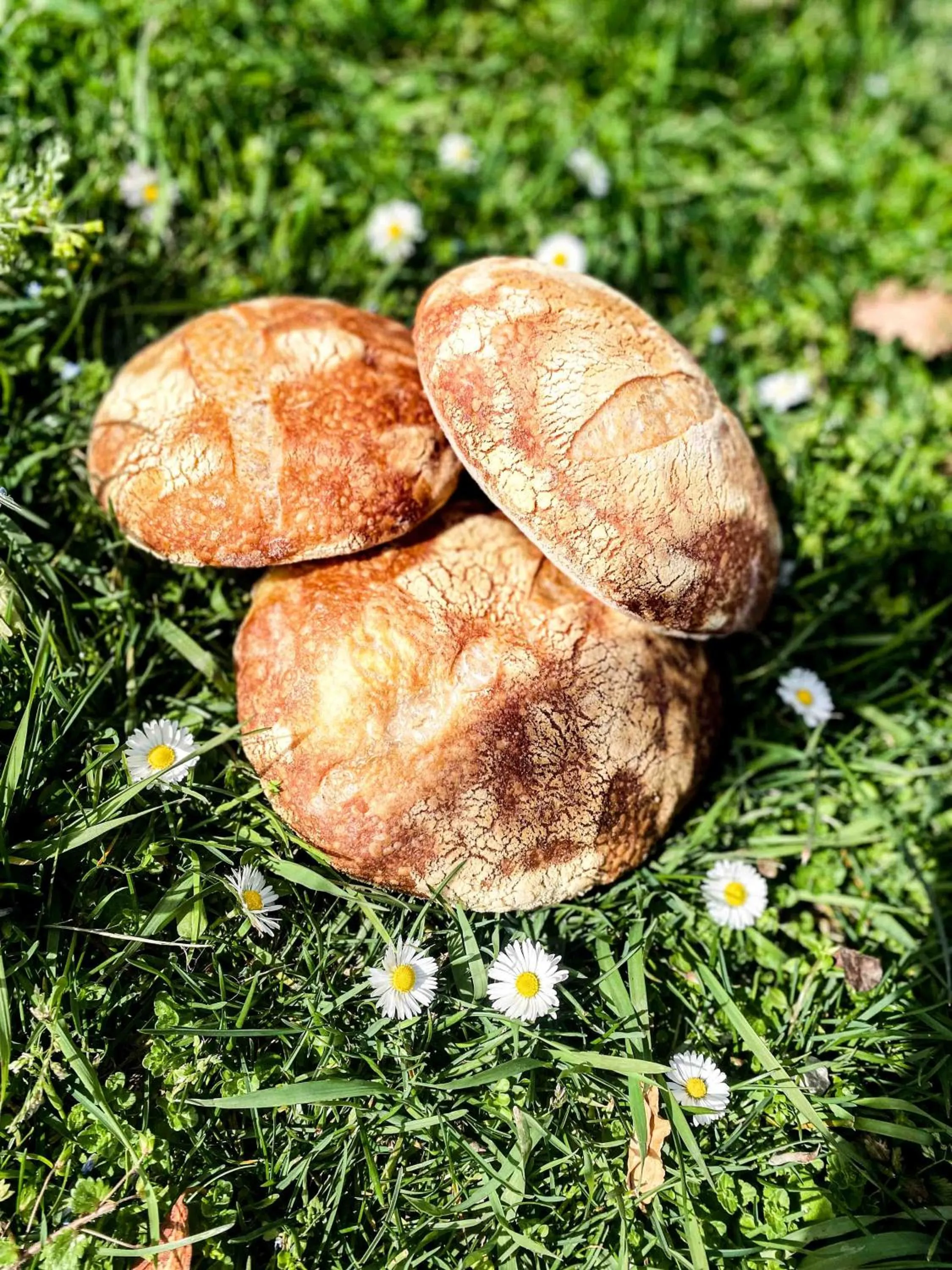 Restaurant/places to eat in LaChiusa Tuscany