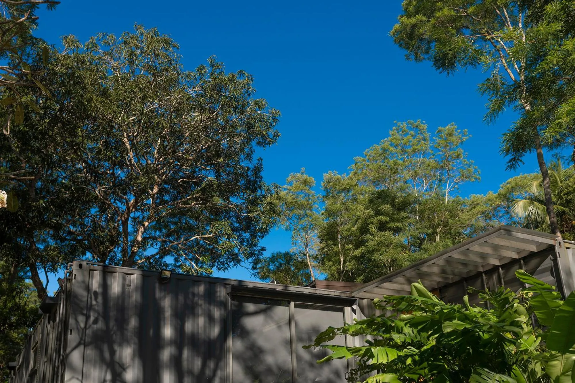 The Box House