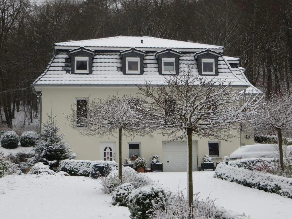 Weisses-Haus-am-Kurpark-Fewo-Bergblick