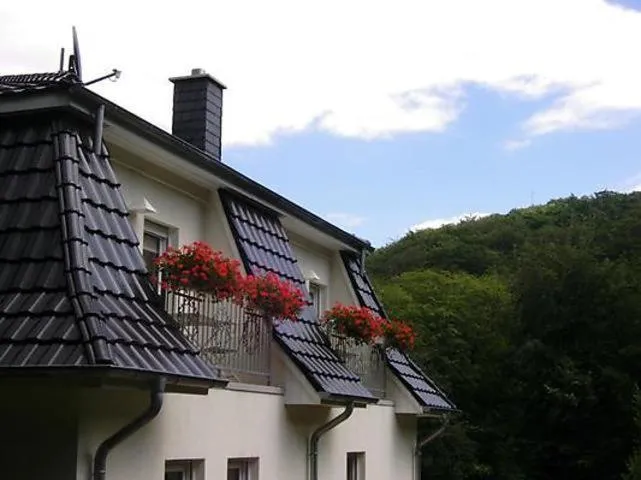 Weisses-Haus-am-Kurpark-Fewo-Bergblick