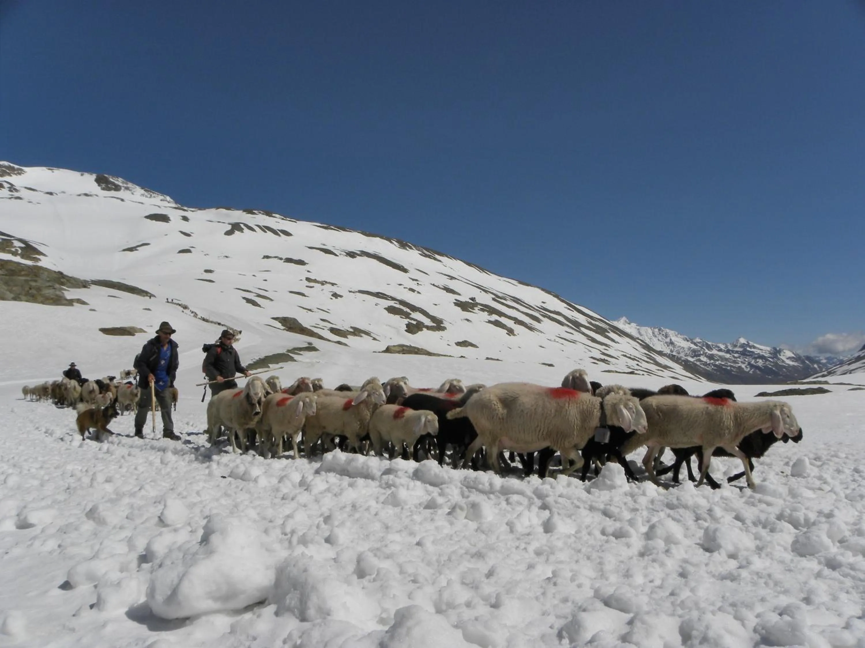 Area and facilities in Hotel Oberraindlhof