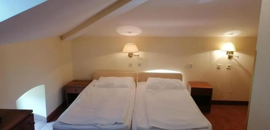 Bed in Hotel Vila Ružica- glavna zgrada i depandanse