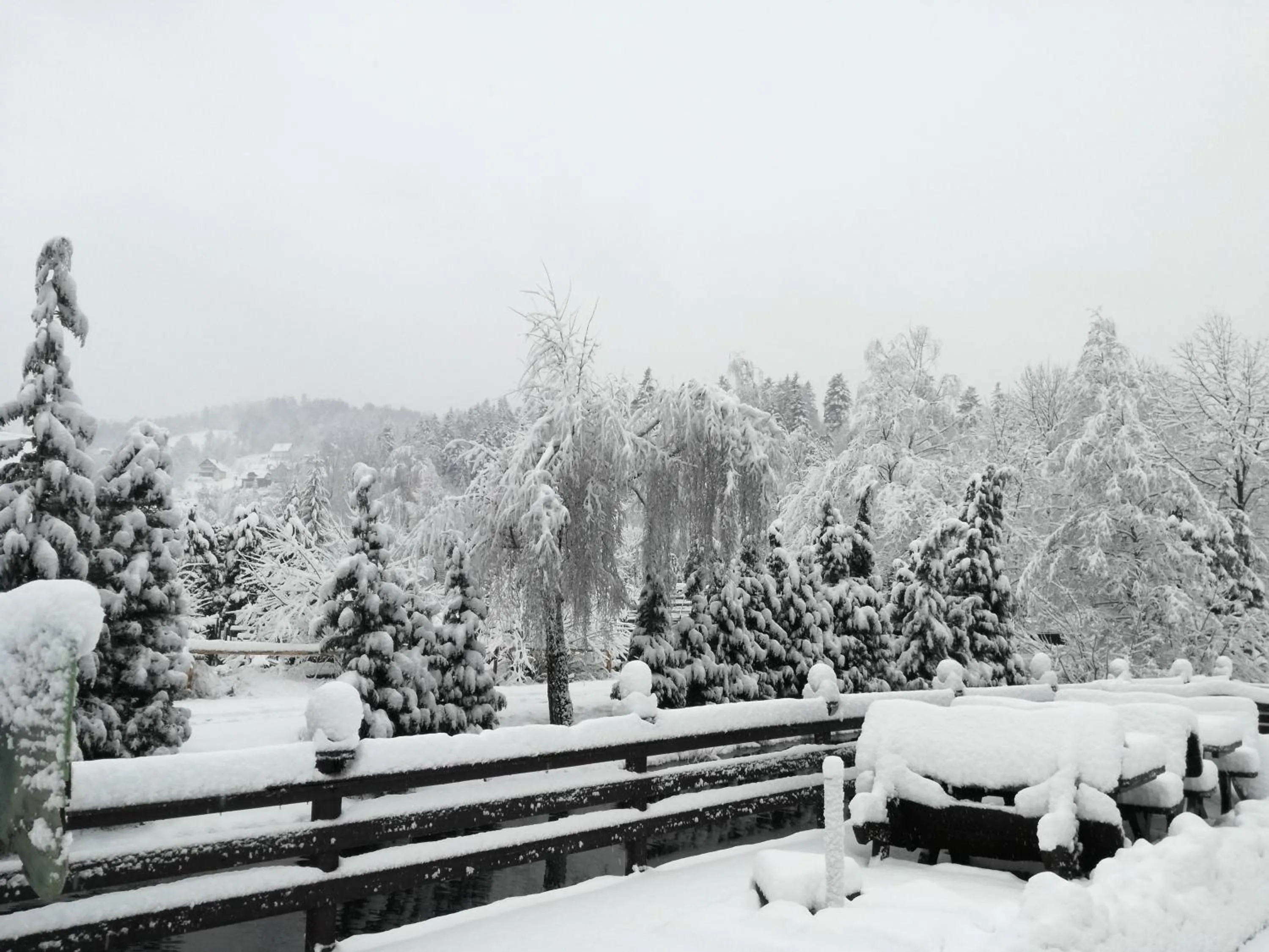 Neighbourhood in Pensjonat MALWA