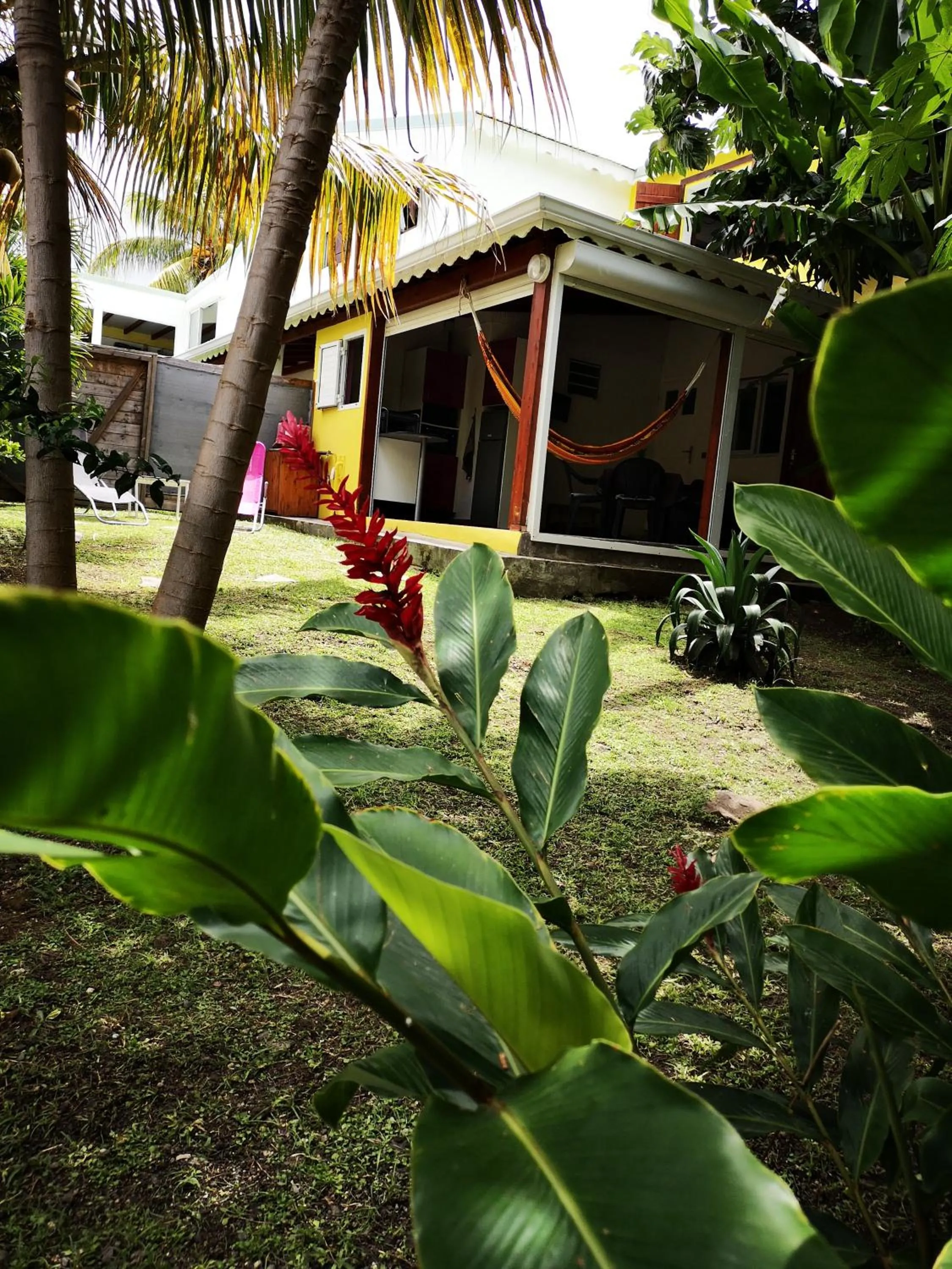 Garden view in Ti Coco