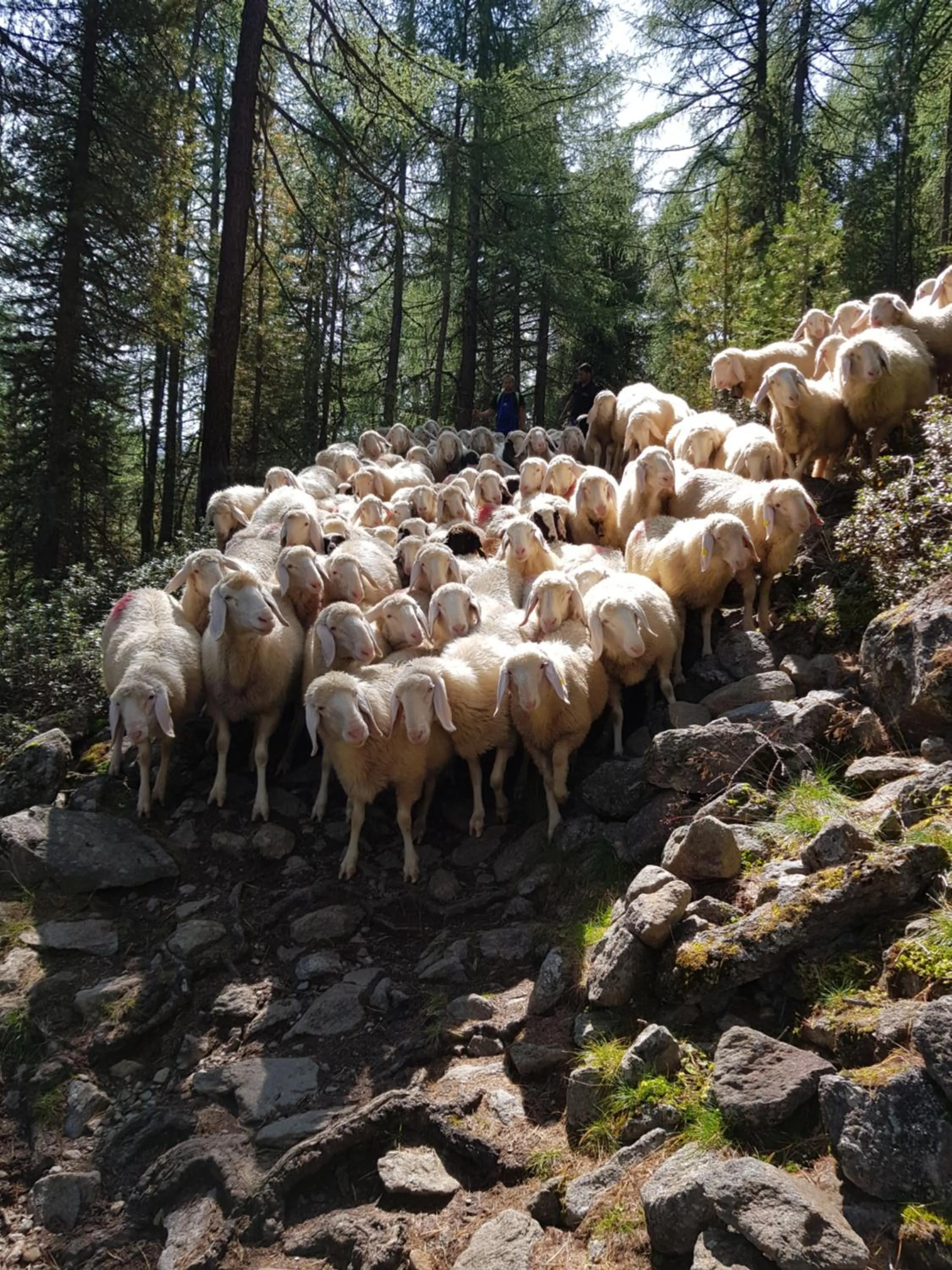 Spring in Berghotel Tyrol