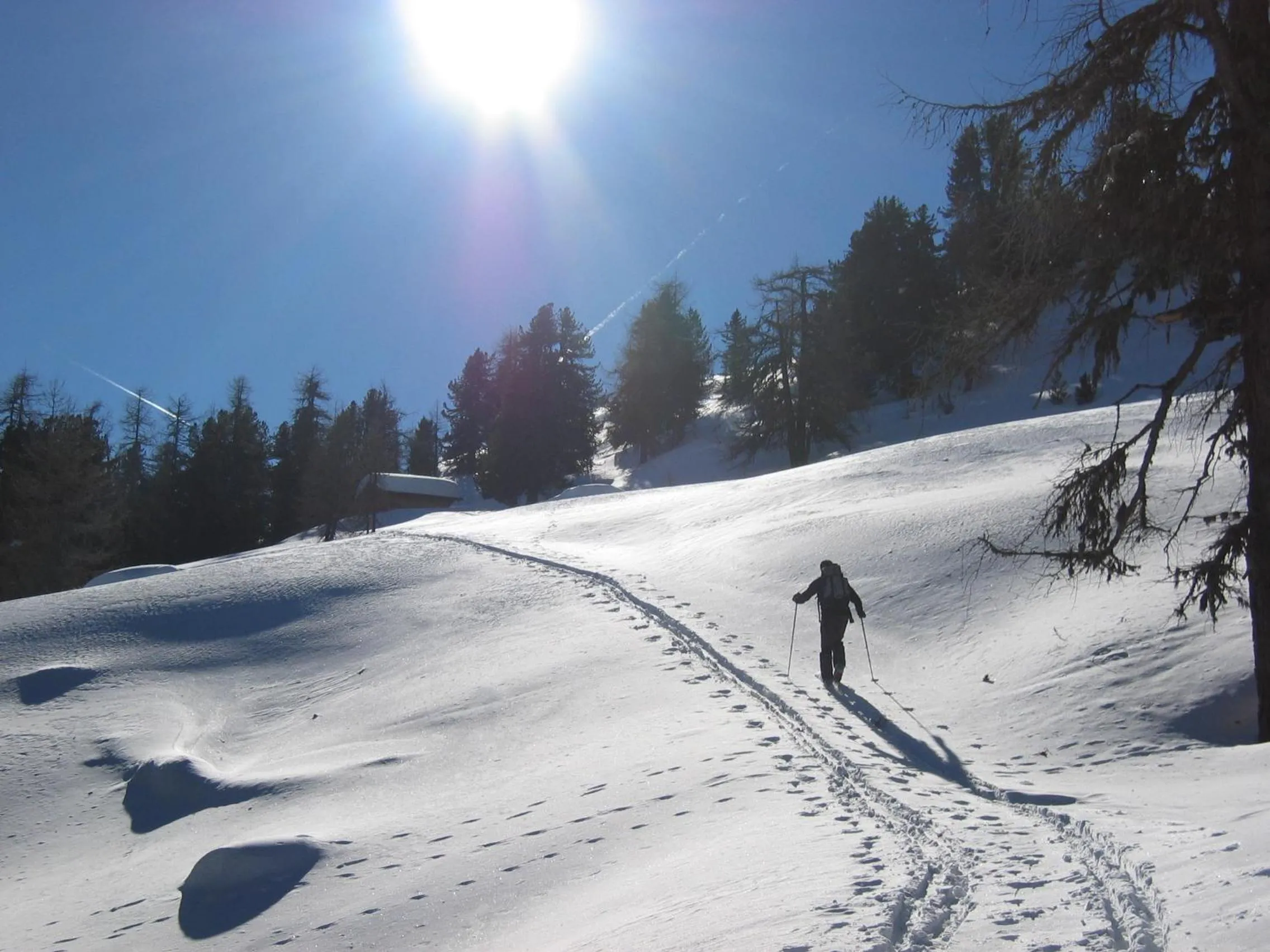 Natural landscape in Berghotel Tyrol