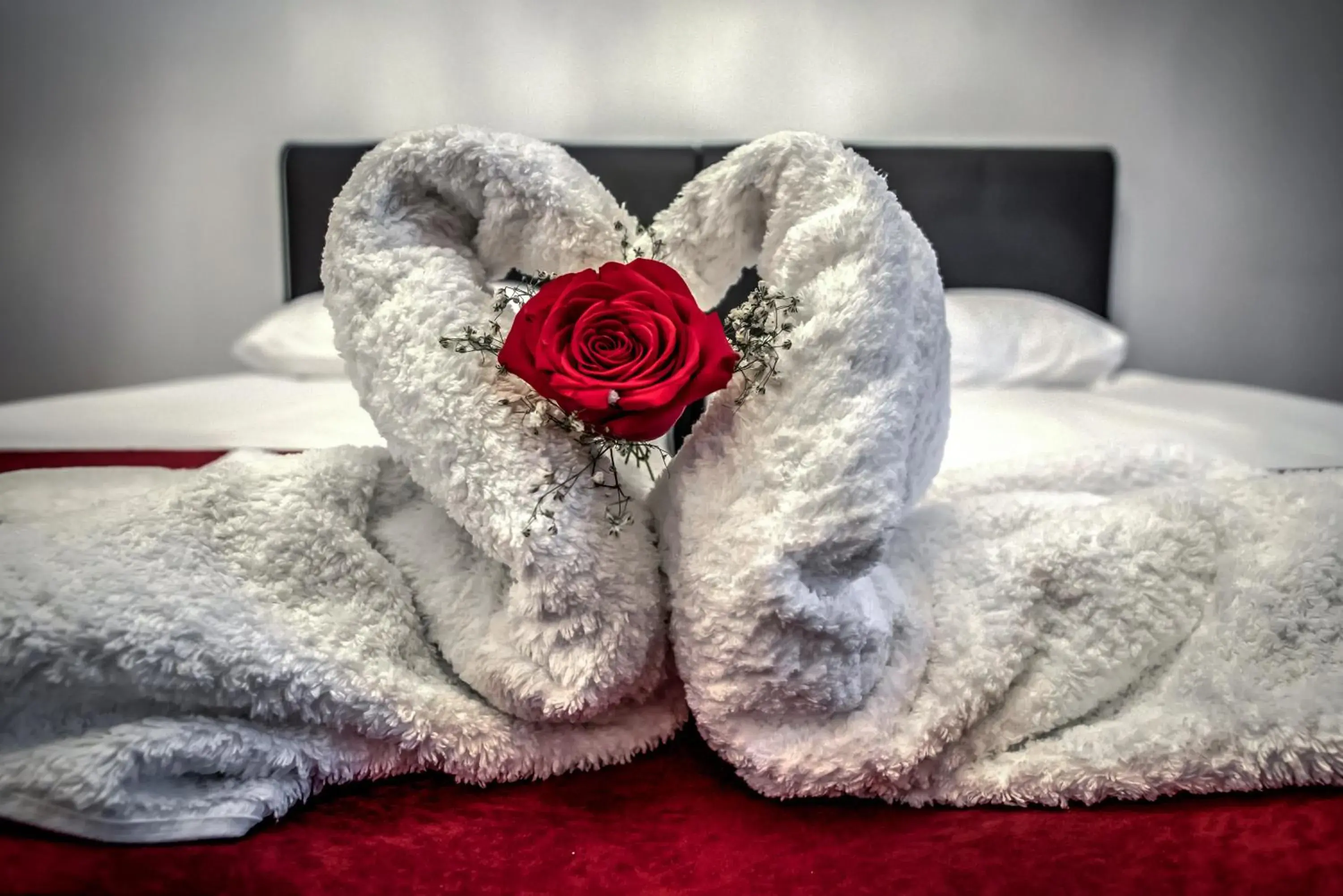 Twin Room in Hotel Elisabeta Twin Room in Hotel Elisabeta