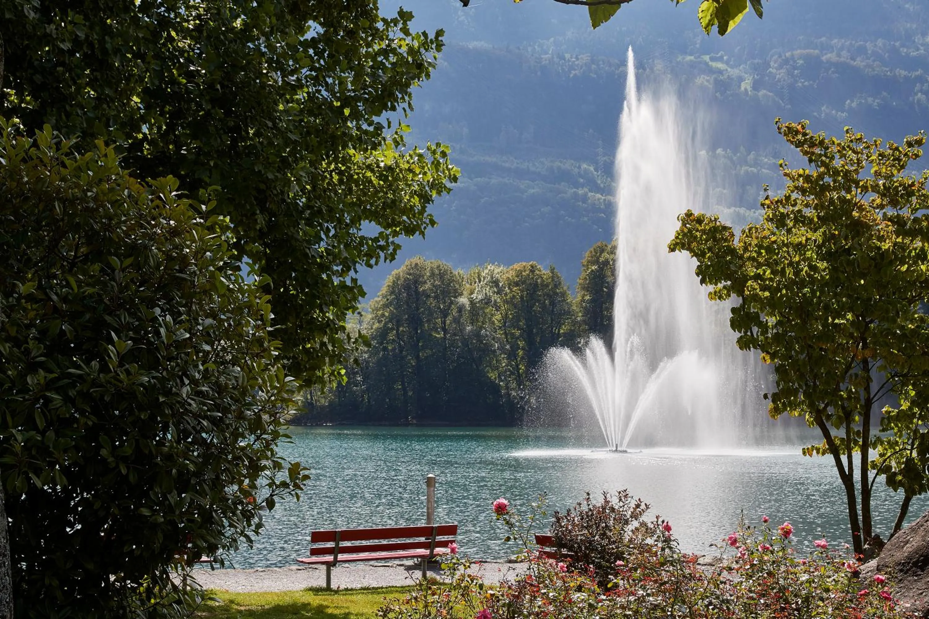 Area and facilities in Parkhotel Schwert