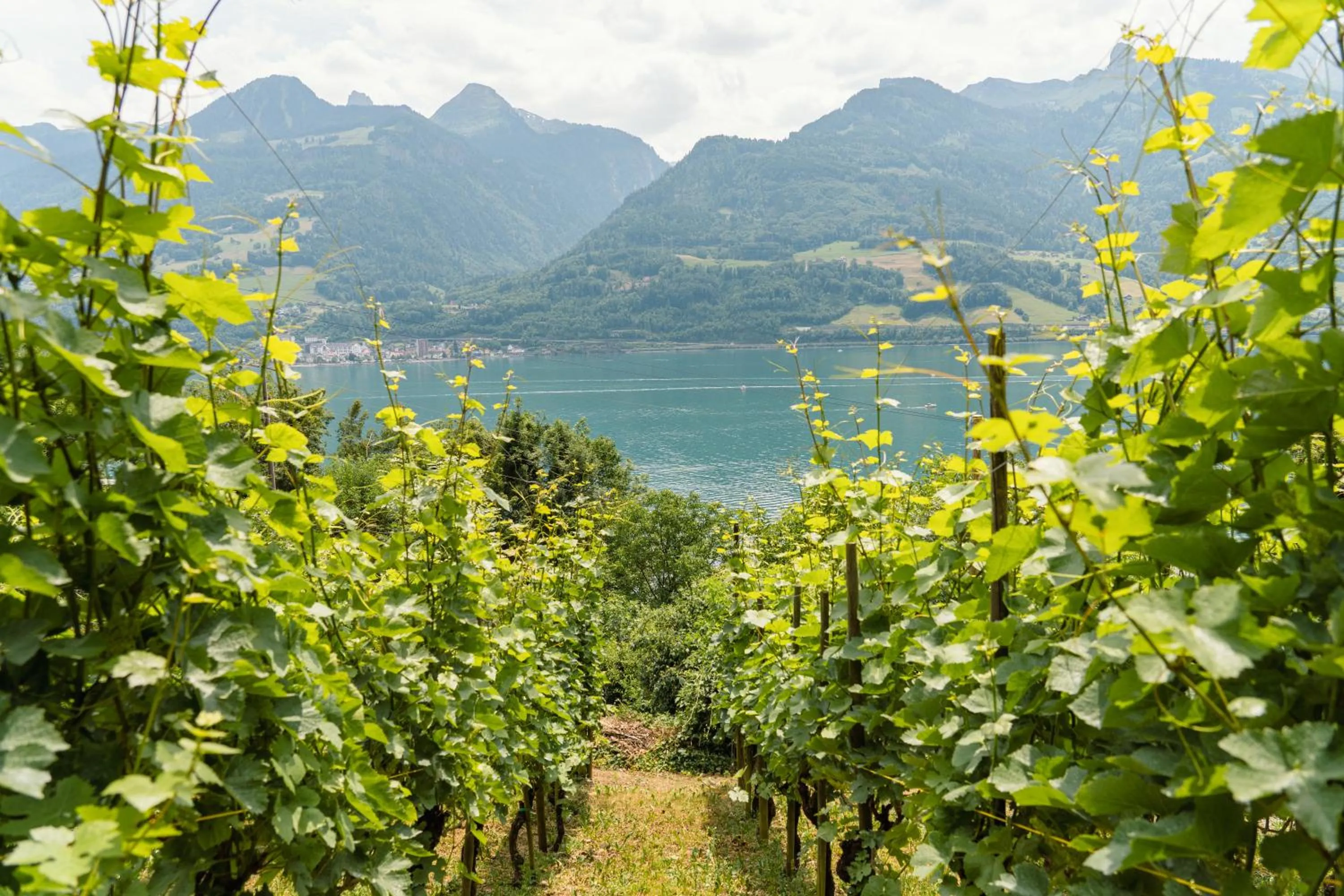 Hiking in Parkhotel Schwert