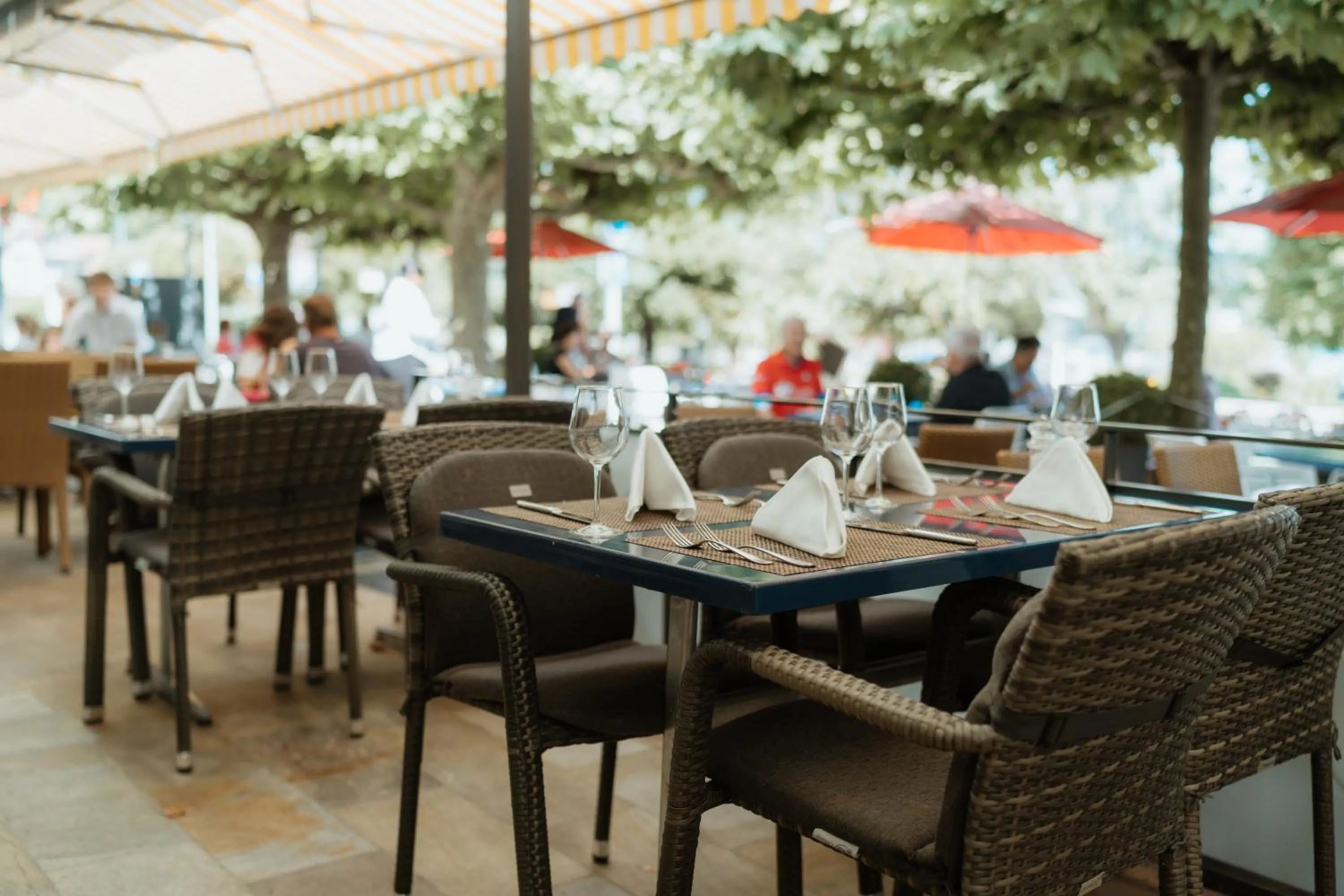 Restaurant/places to eat in Parkhotel Schwert