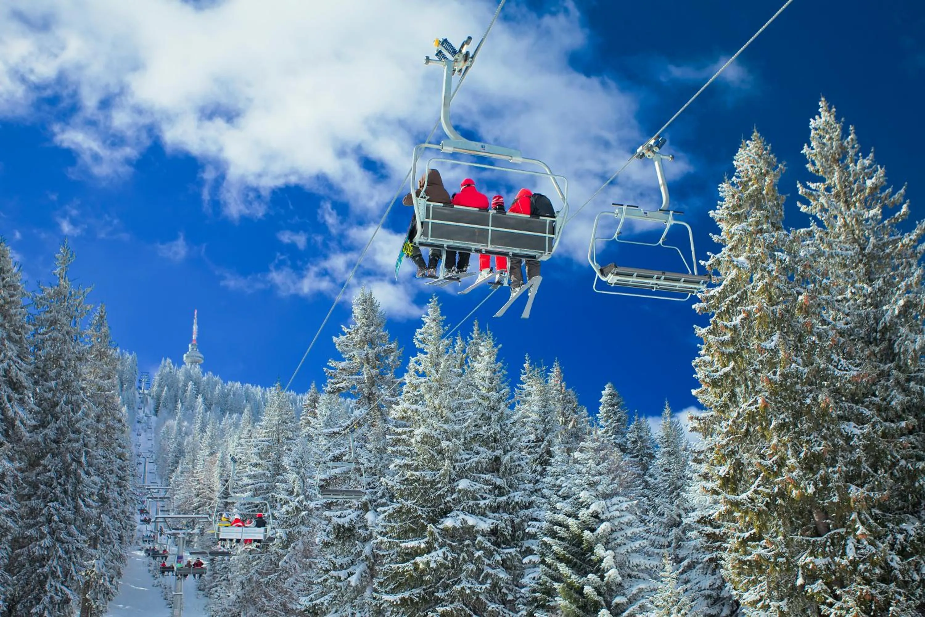 Activities in Apartments Flora-Daisy