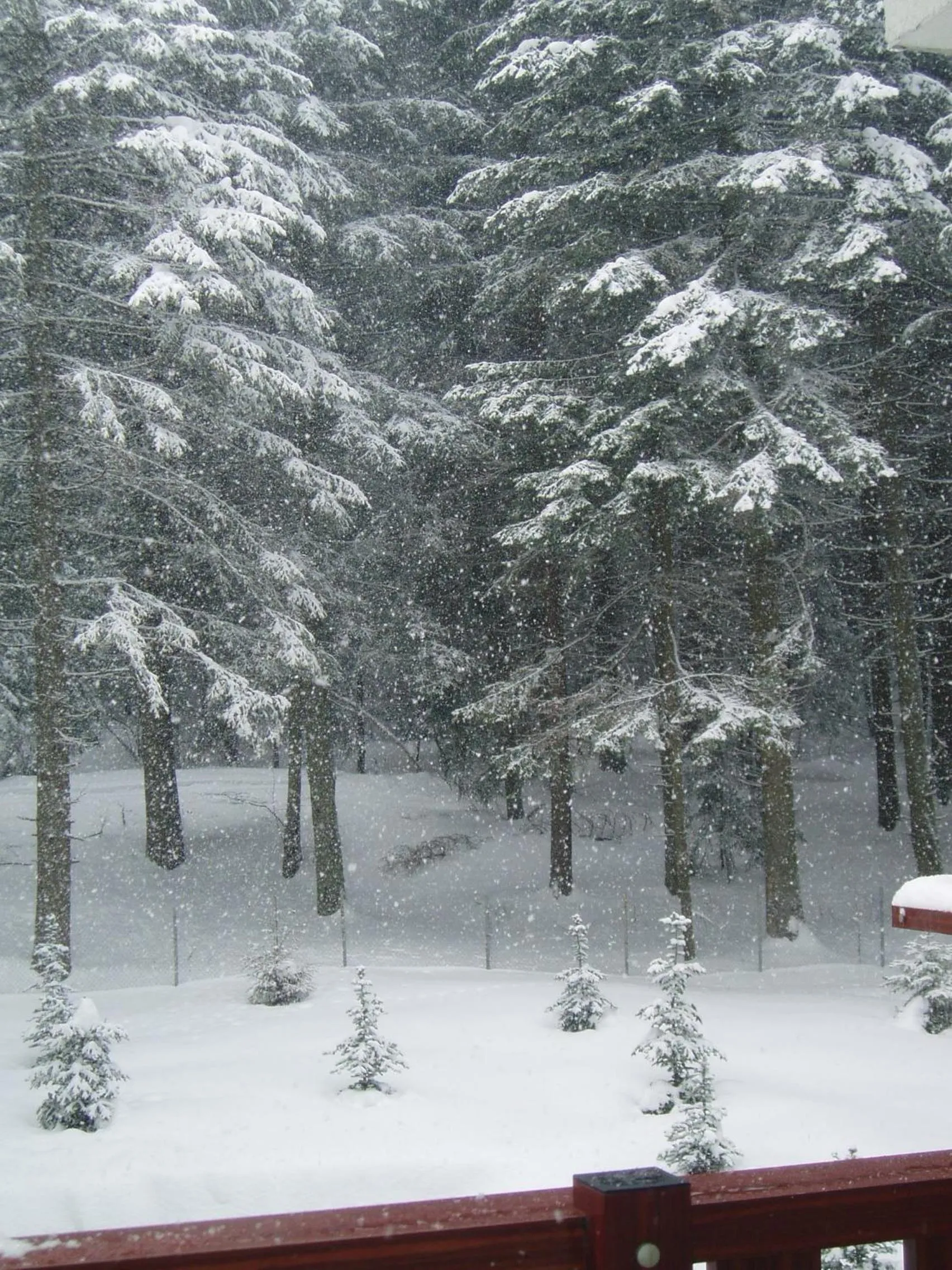 Natural landscape in Apartments Flora-Daisy
