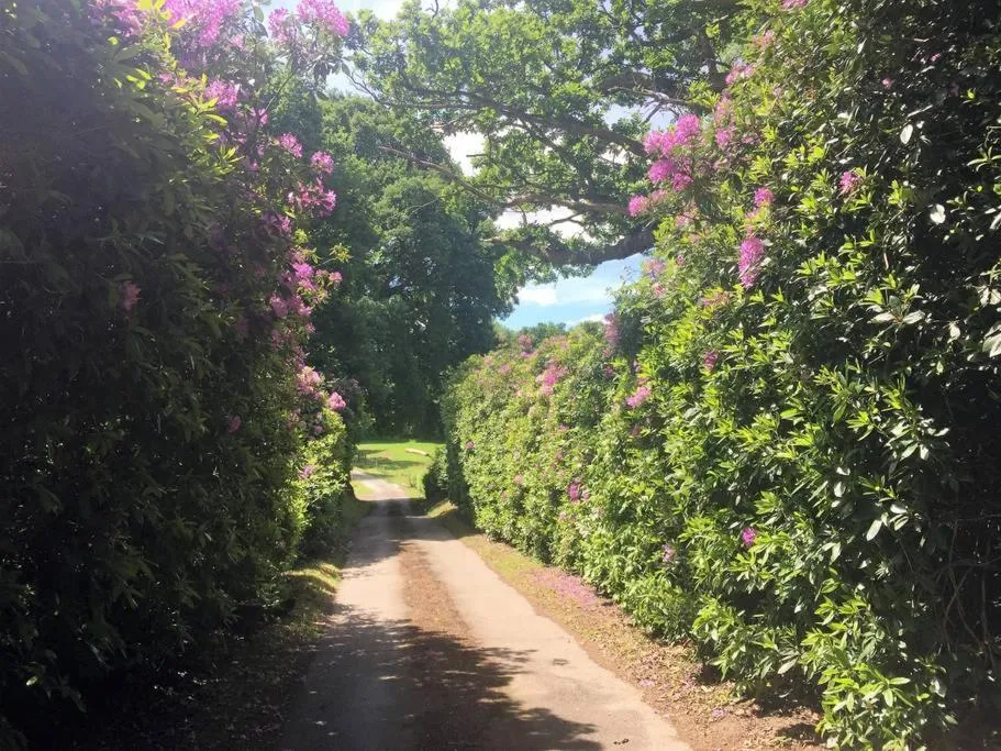 Property building in Ockhams Farm Guest House
