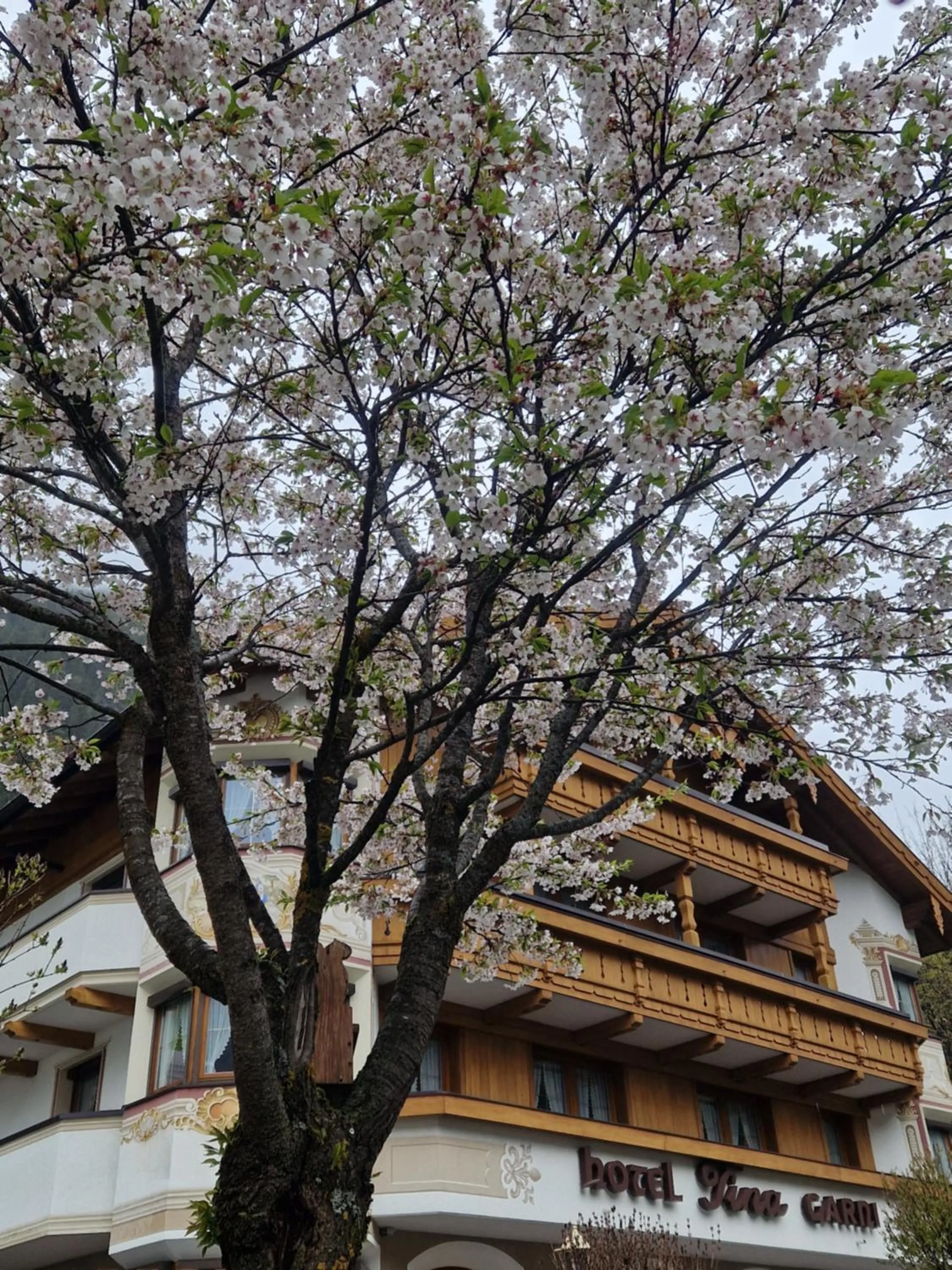 Property building in Hotel Garni Apart TINA