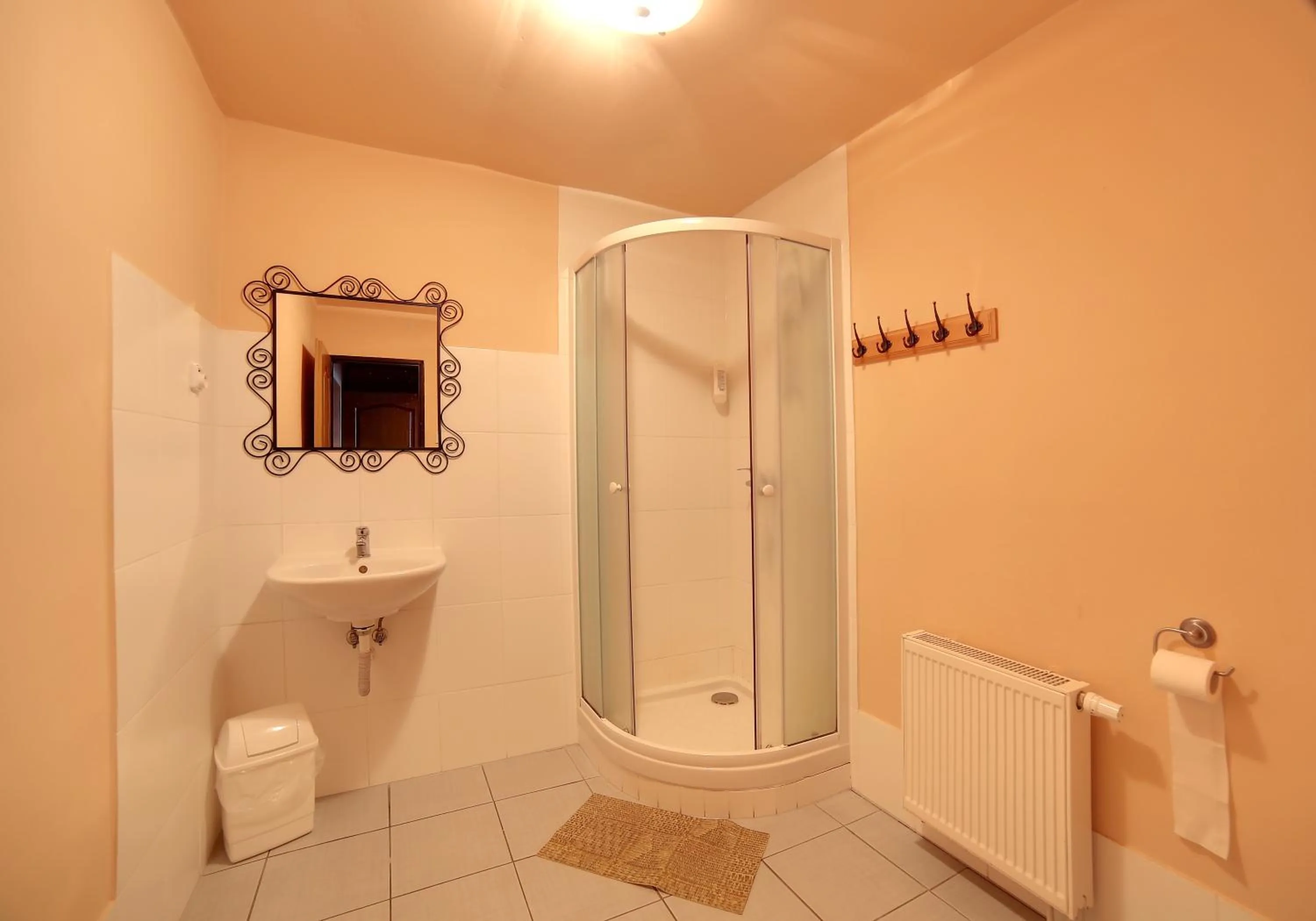 Bathroom in Hotel Plesivec