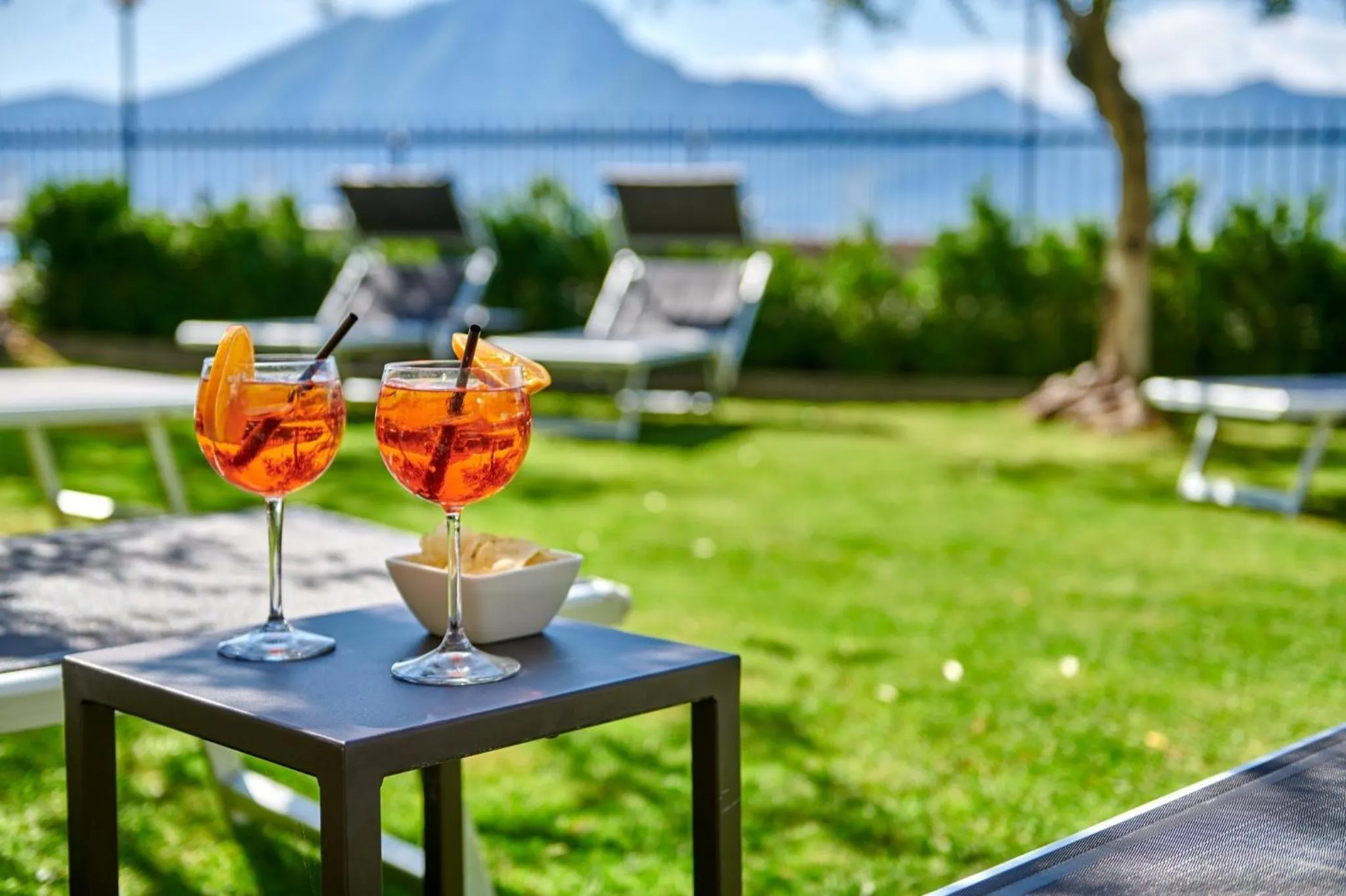 Garden in Albergo Del Garda