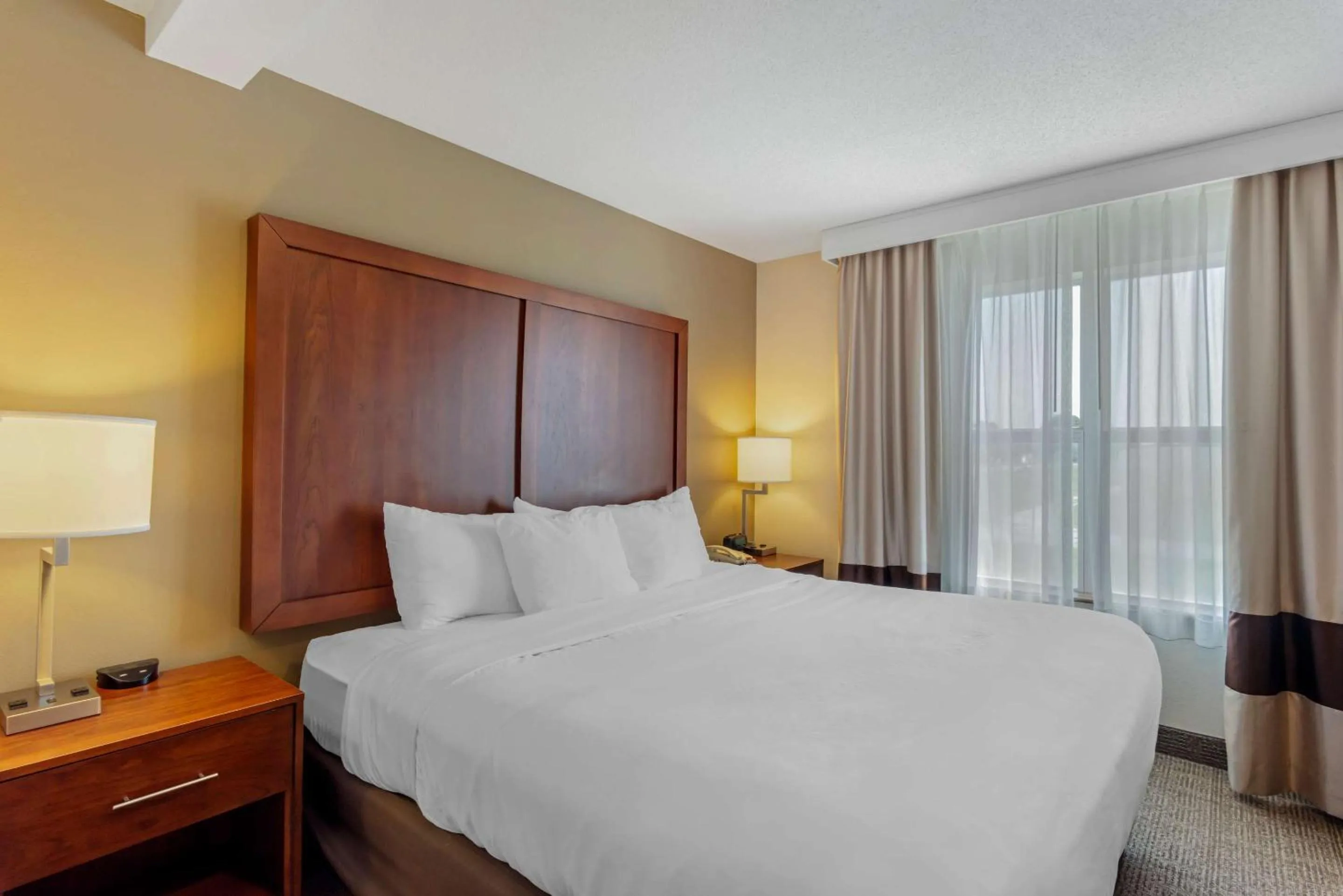 Bedroom, Bed in Comfort Inn & Suites Dover near Speedway