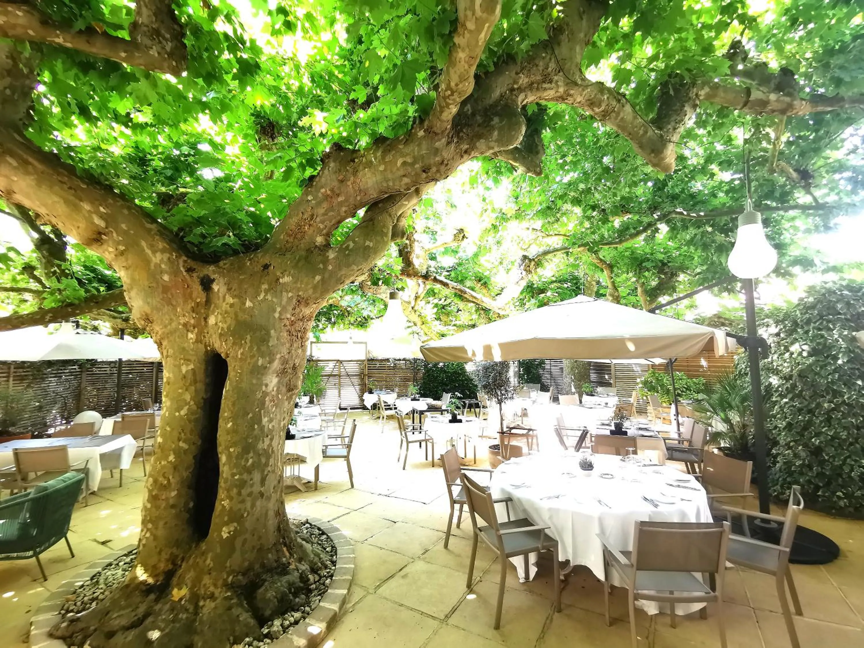 Property building in Logis Hôtel - Restaurant Maison Claude Darroze