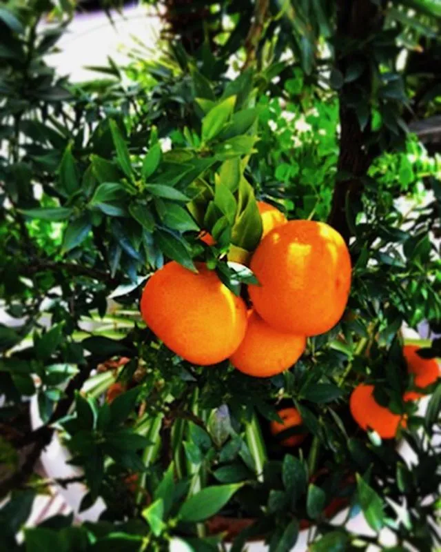 Property building in Hotel La Perla