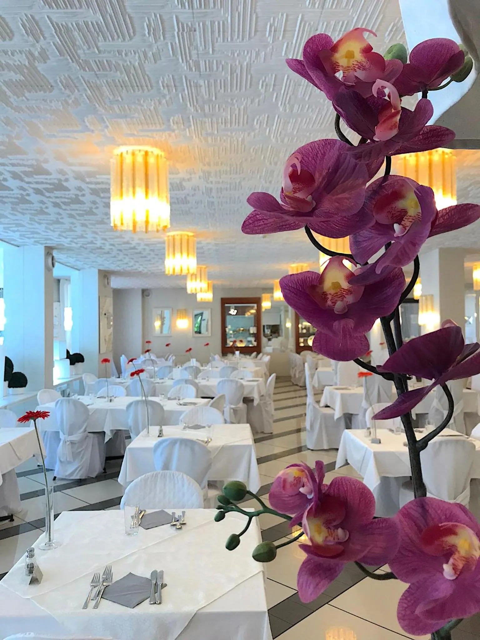 Restaurant/places to eat in Hotel La Perla