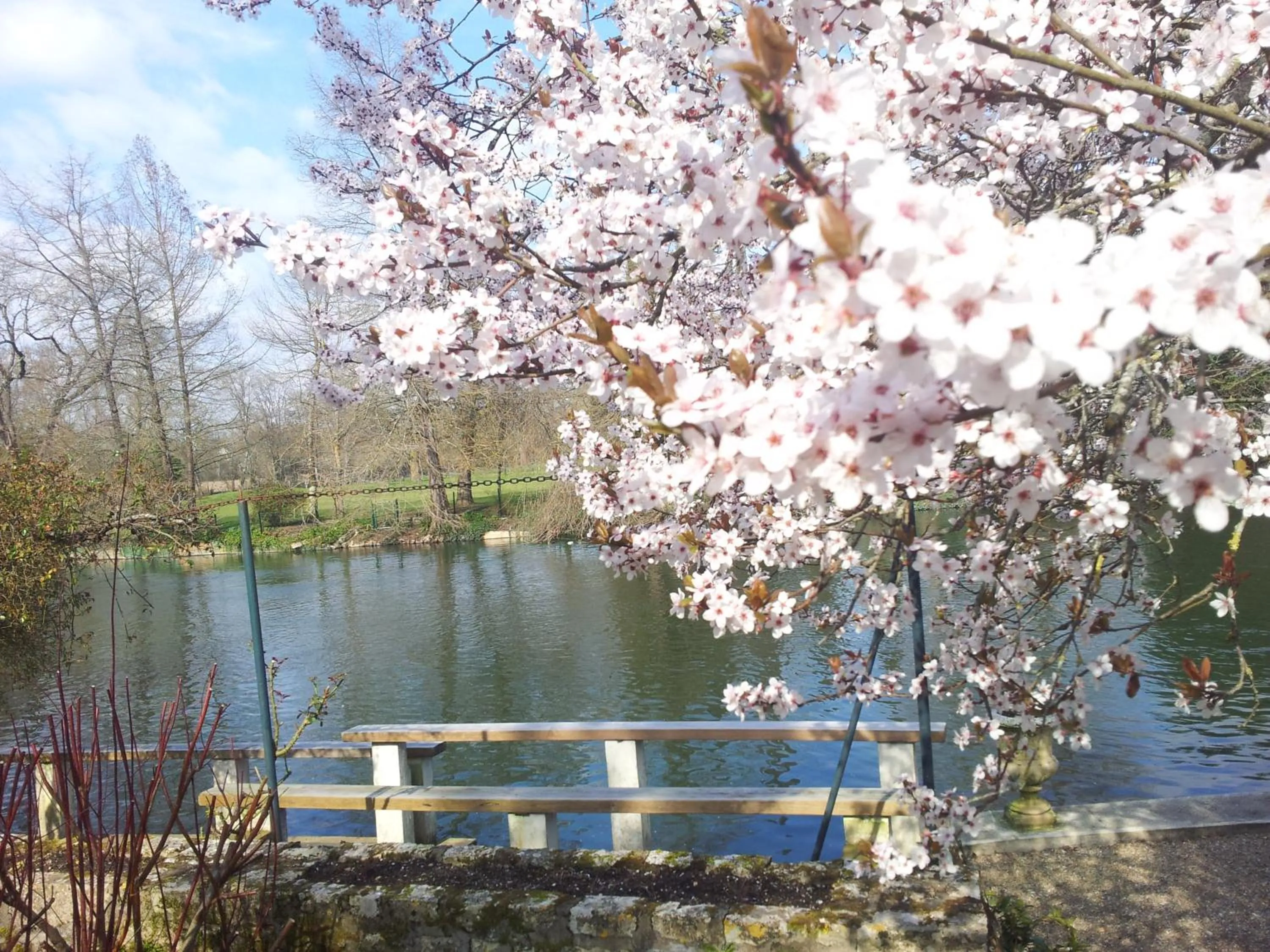 Patio in hôtel restaurant Beau-rivage
