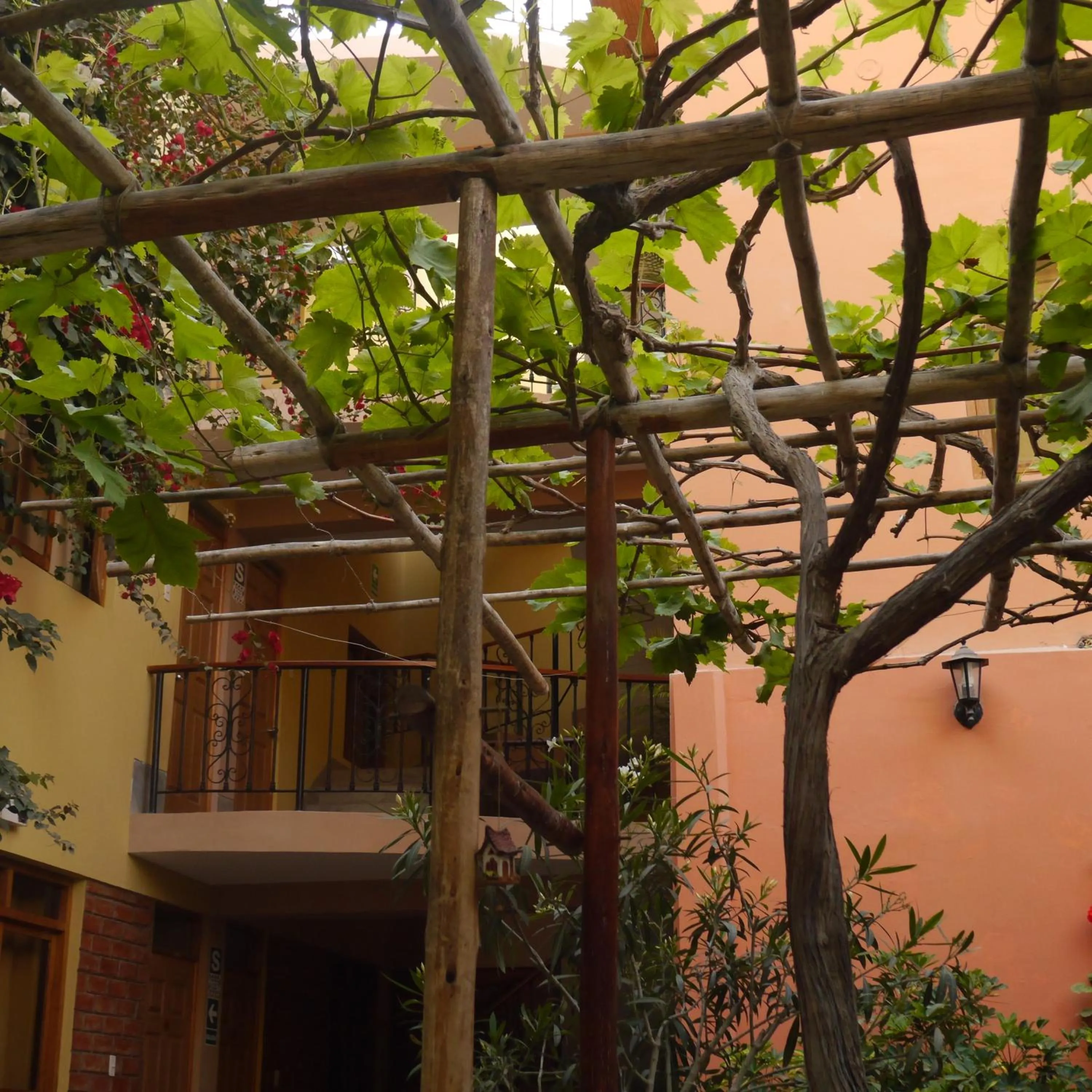 Garden in Hostal Tambo Colorado