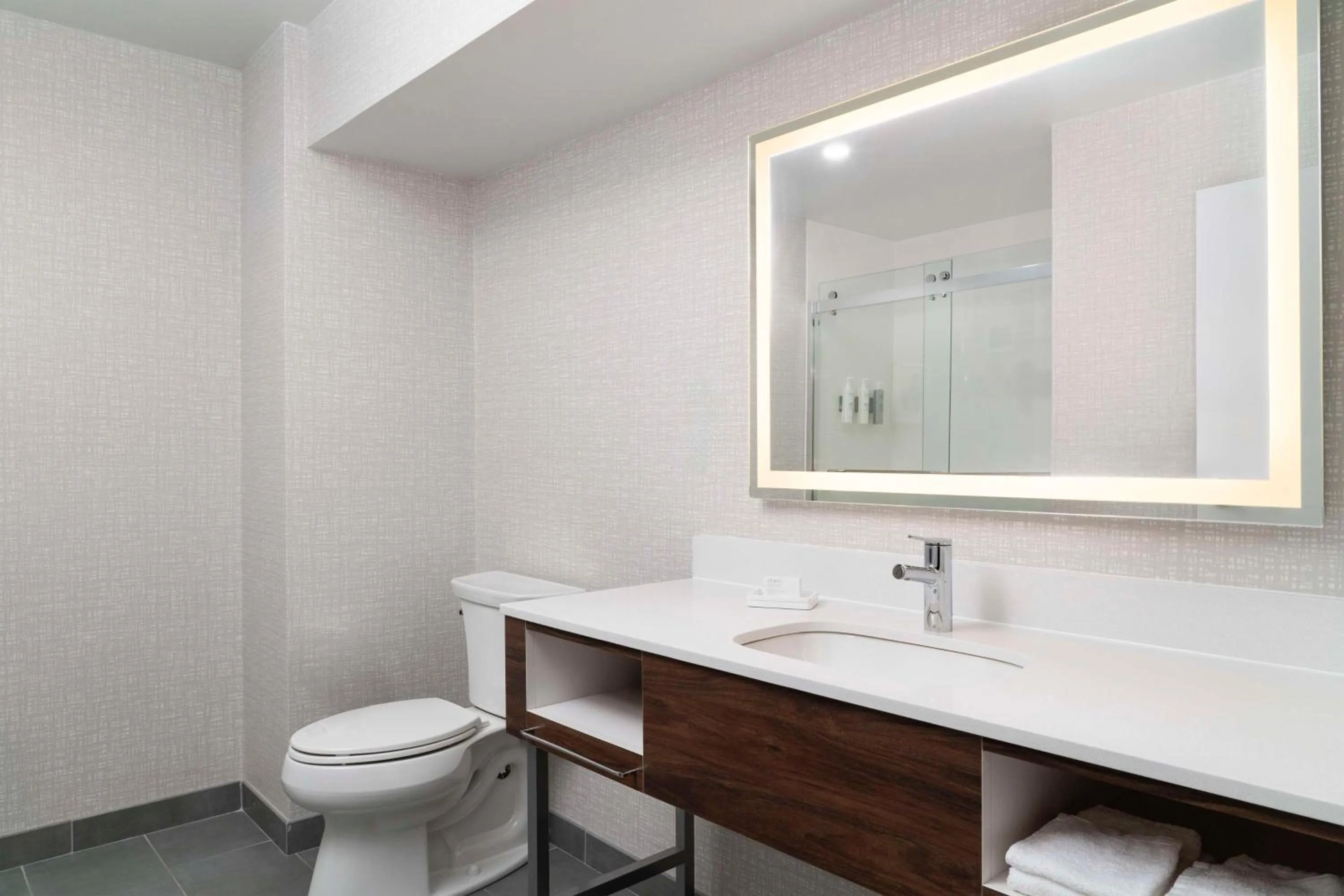 Bathroom in Hampton Inn Chicopee - Springfield