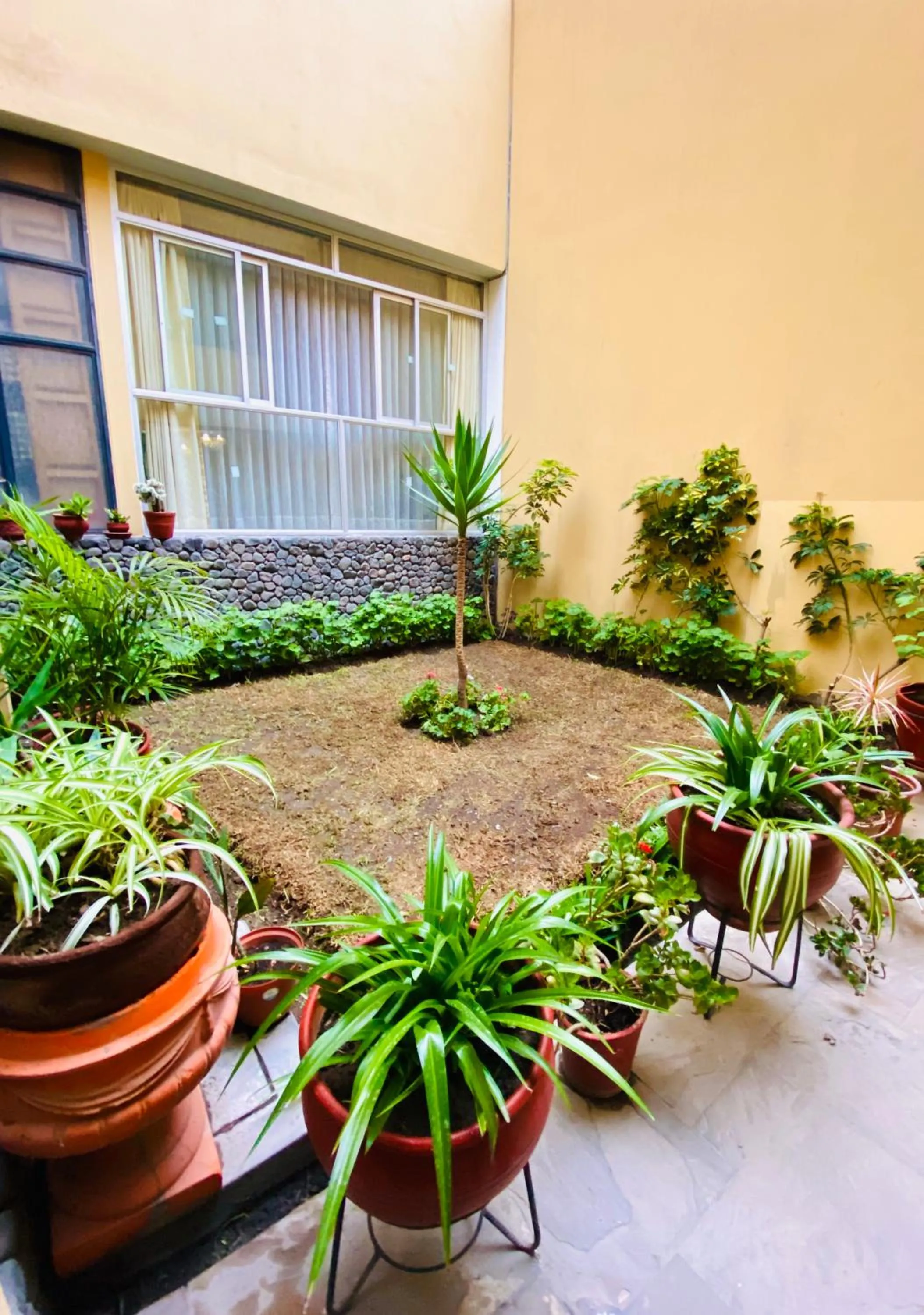 Garden in Arequipa Inn