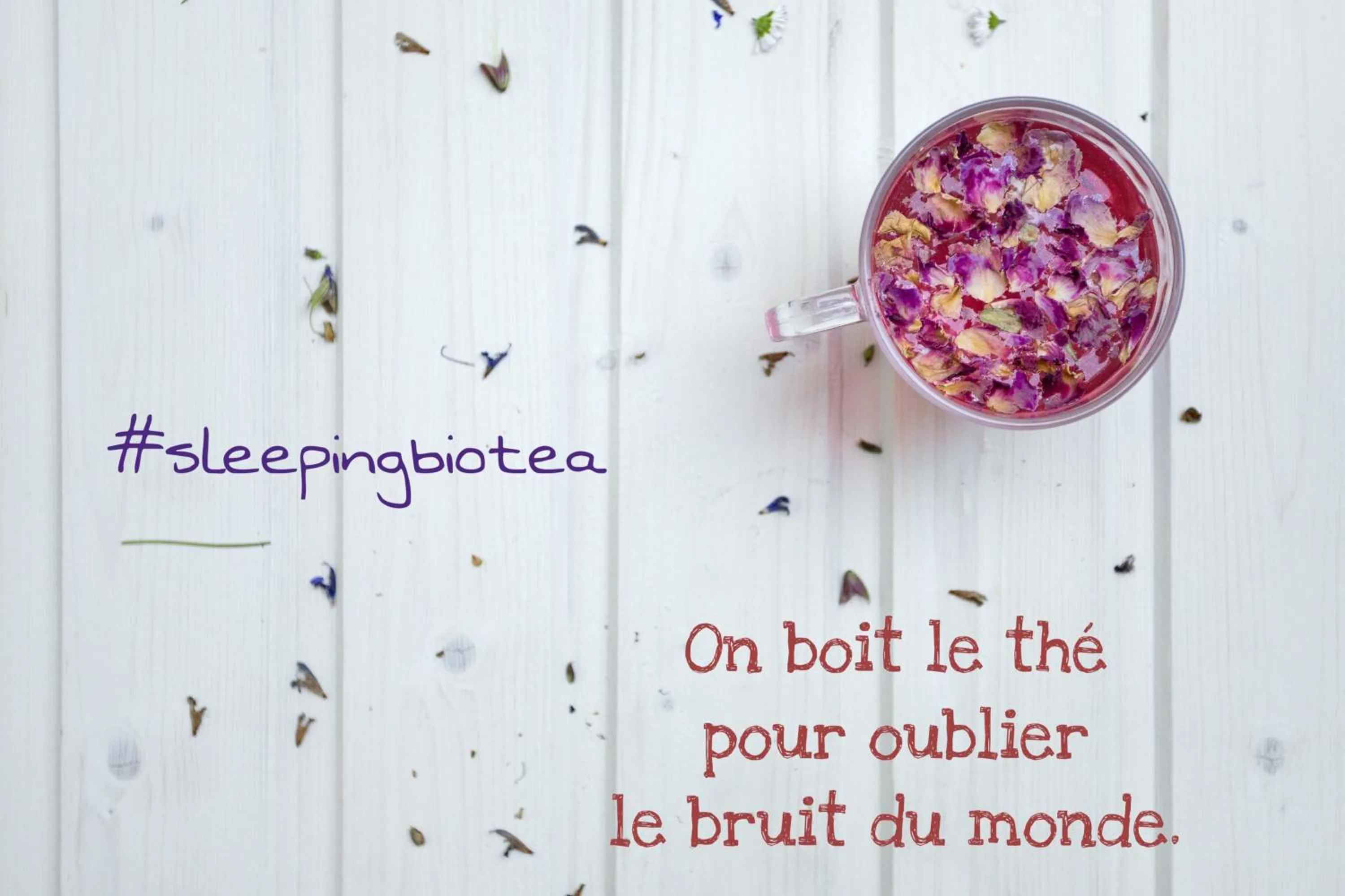 Decorative detail in Sleeping Bio Tea