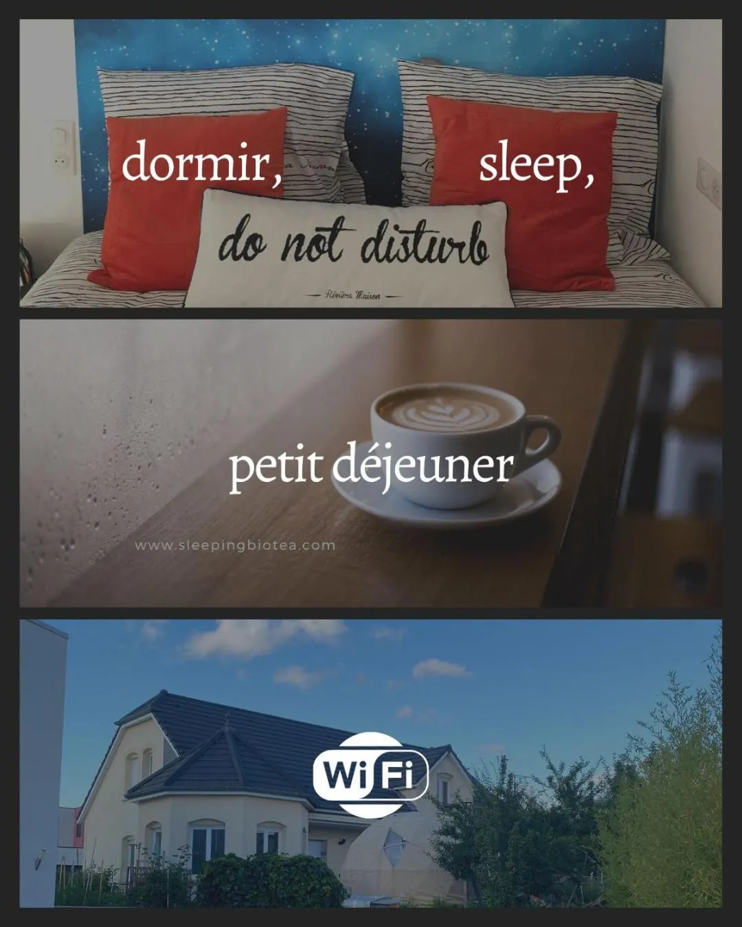 Breakfast in Sleeping Bio Tea