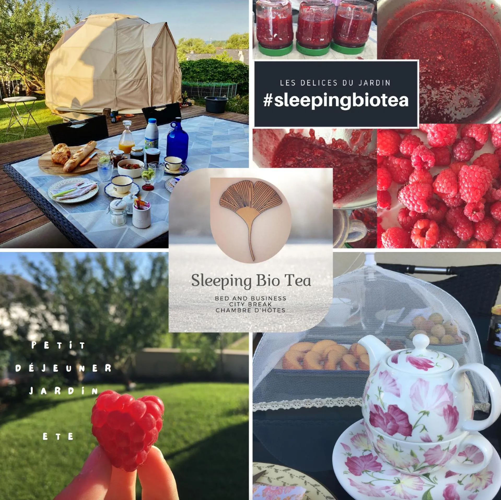 Garden in Sleeping Bio Tea