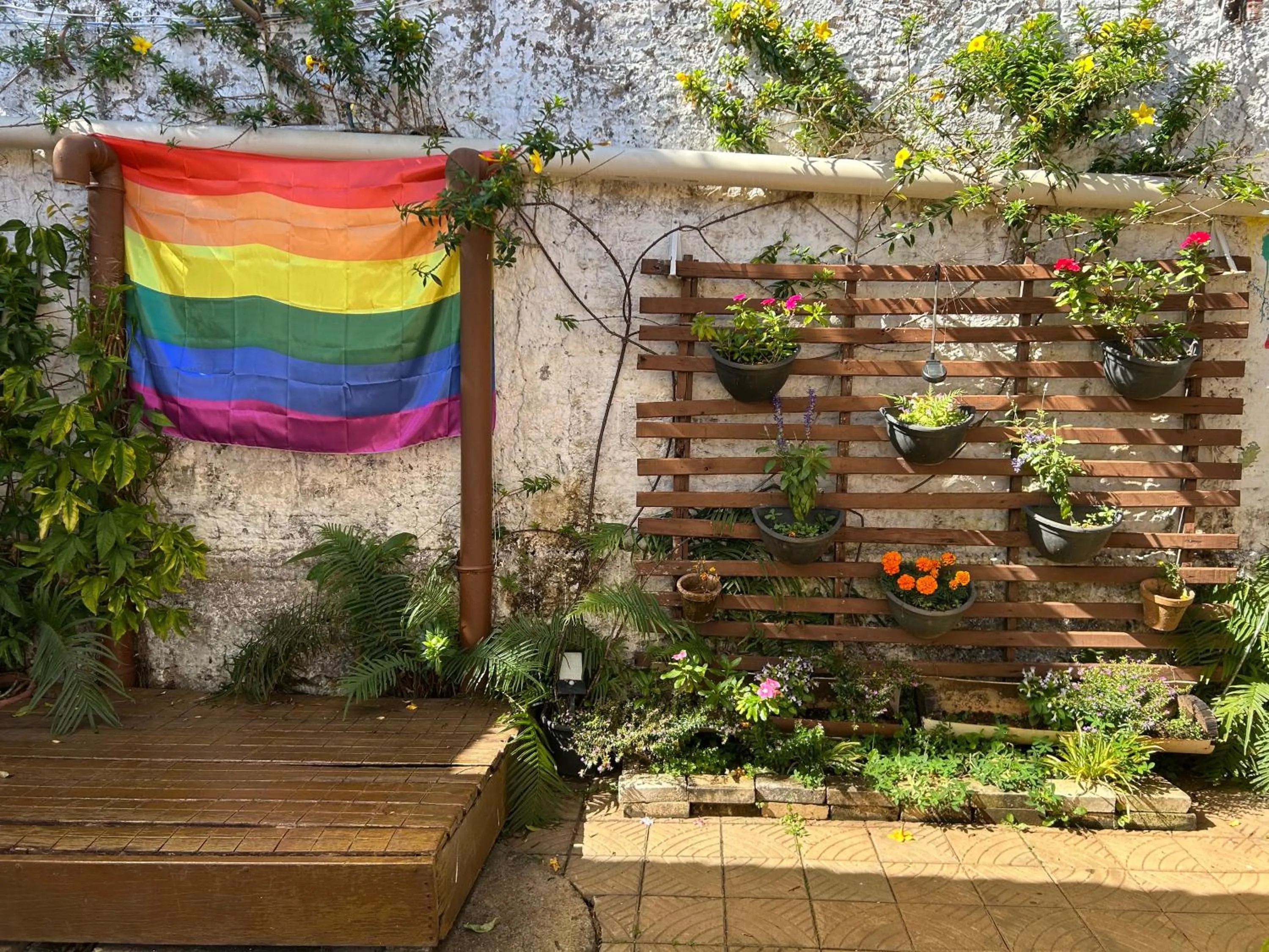 Zizi Home Vibes