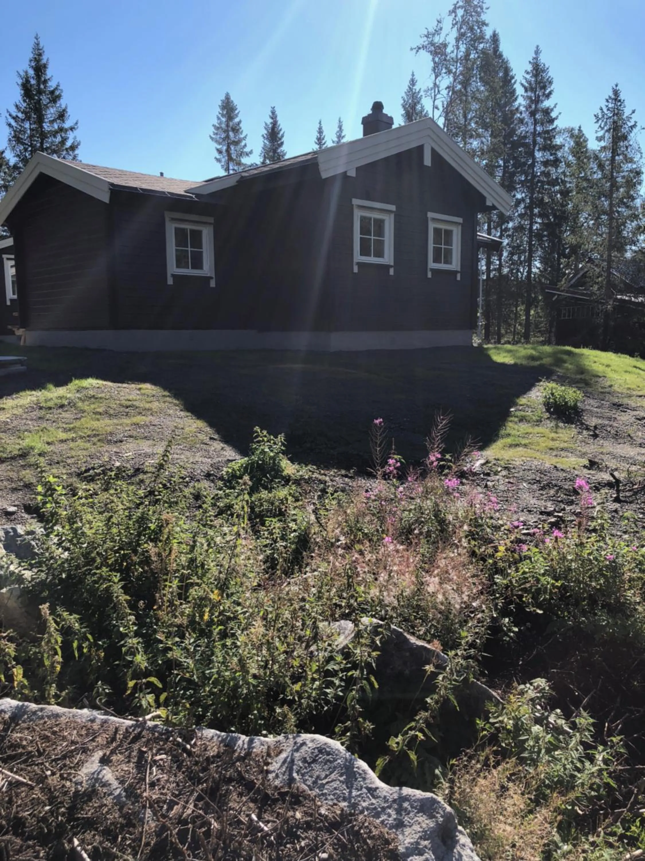 Fresh Familie Hytte Hemsedal with Outdoor Sauna