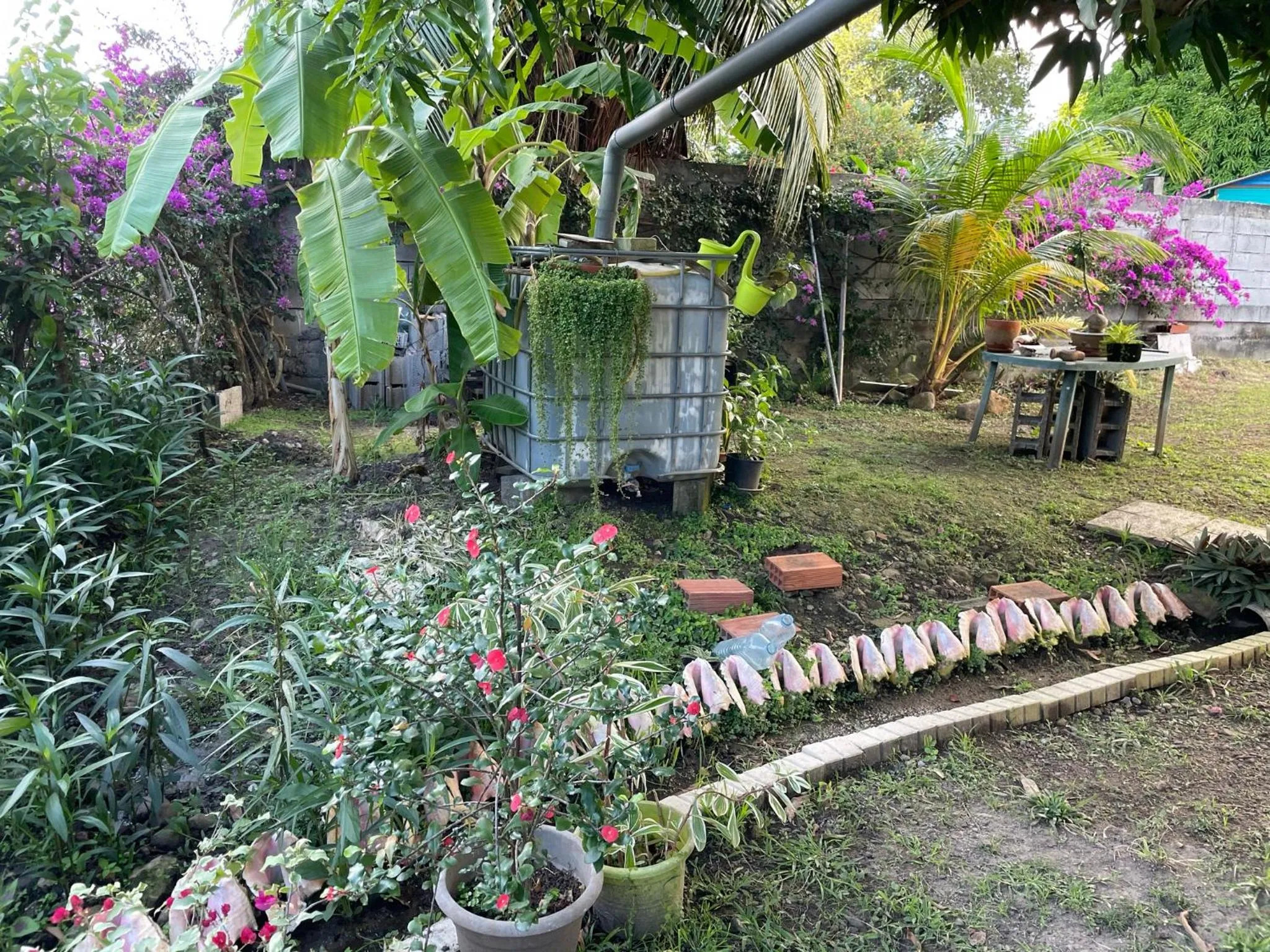 Garden in Résidence Sucrerie Motel - Les Anses-d'Arlets - Martinique