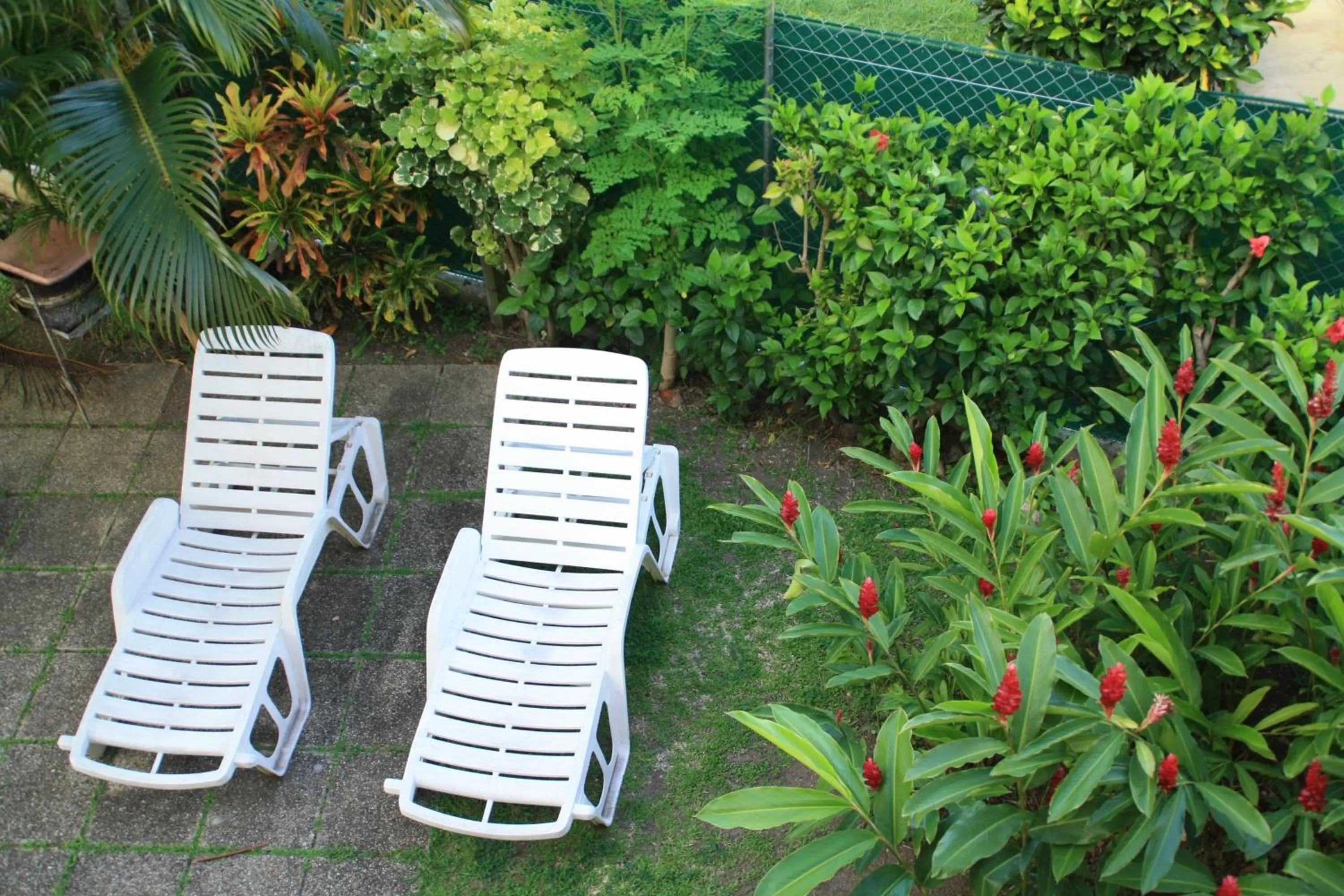 Garden view in Résidence Sucrerie Motel - Les Anses-d'Arlets - Martinique
