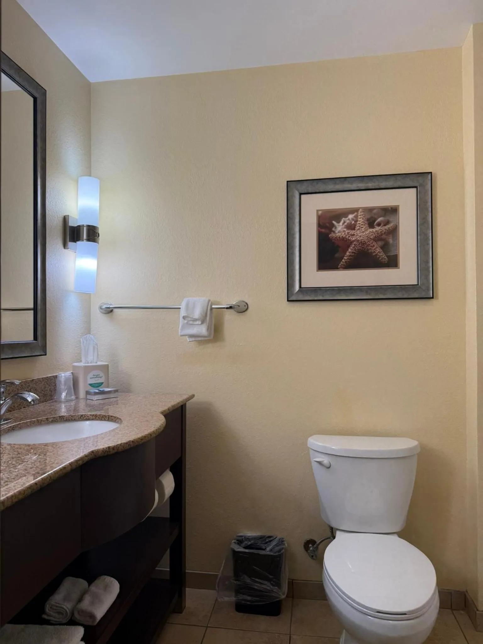 Bathroom in Holiday Inn Titusville/Kennedy Space Center by IHG