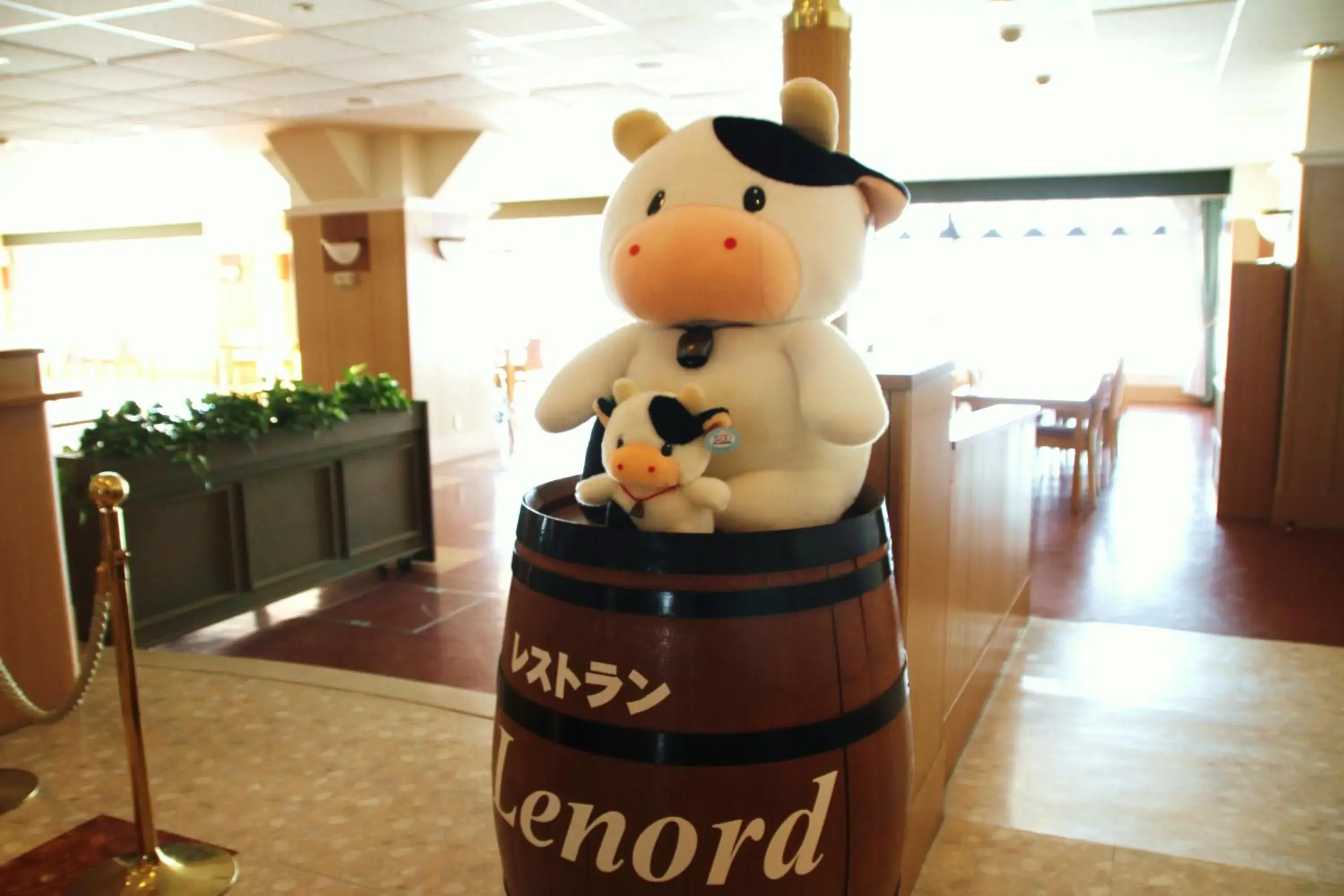 Restaurant/places to eat in Furano La Terre Restaurant/places to eat in Furano La Terre