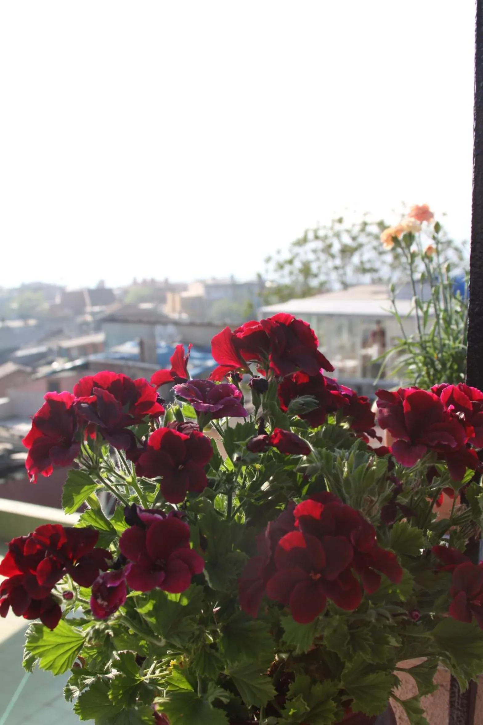 Day in Hotel Buhara Family Inn