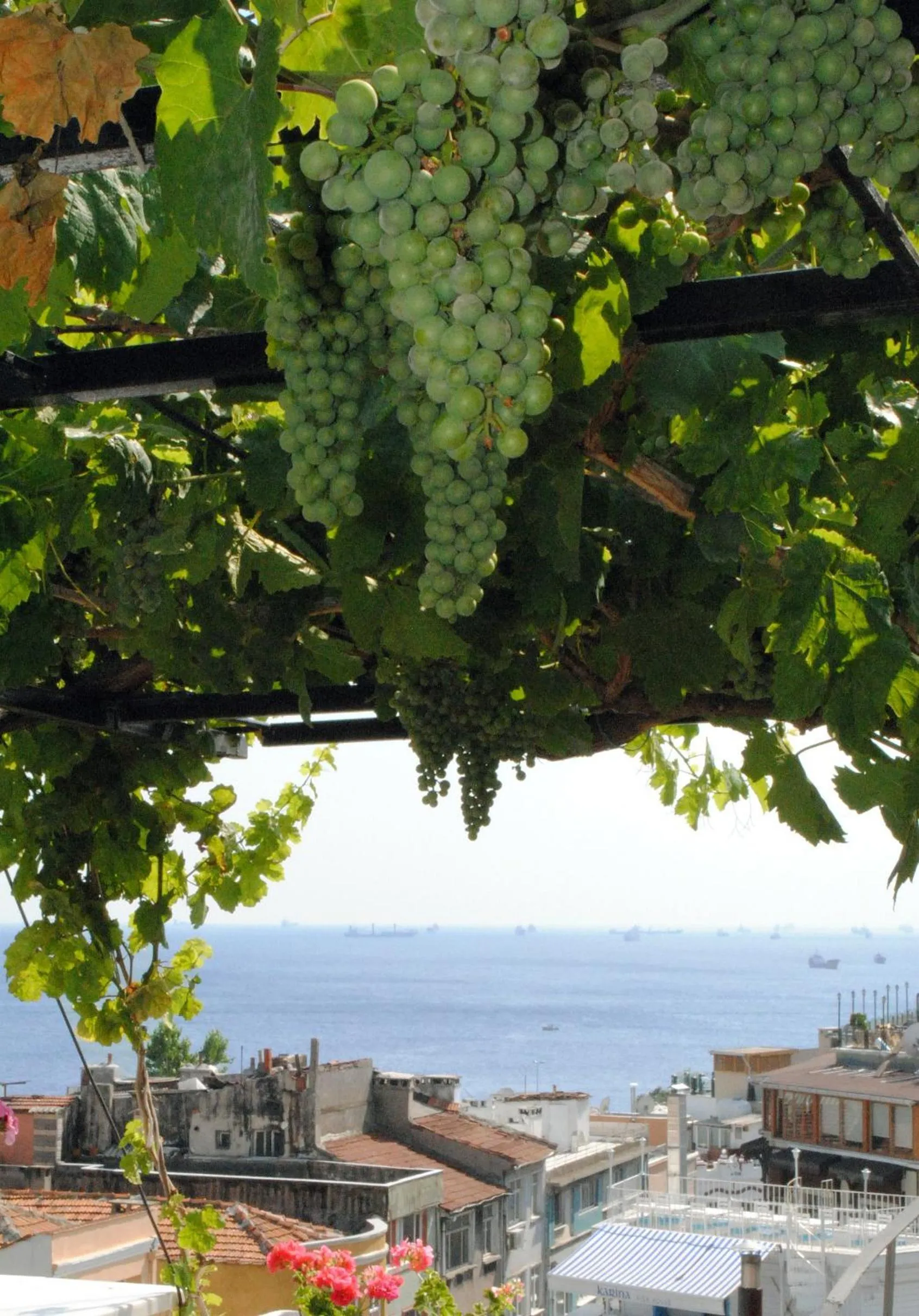 Day in Hotel Buhara Family Inn