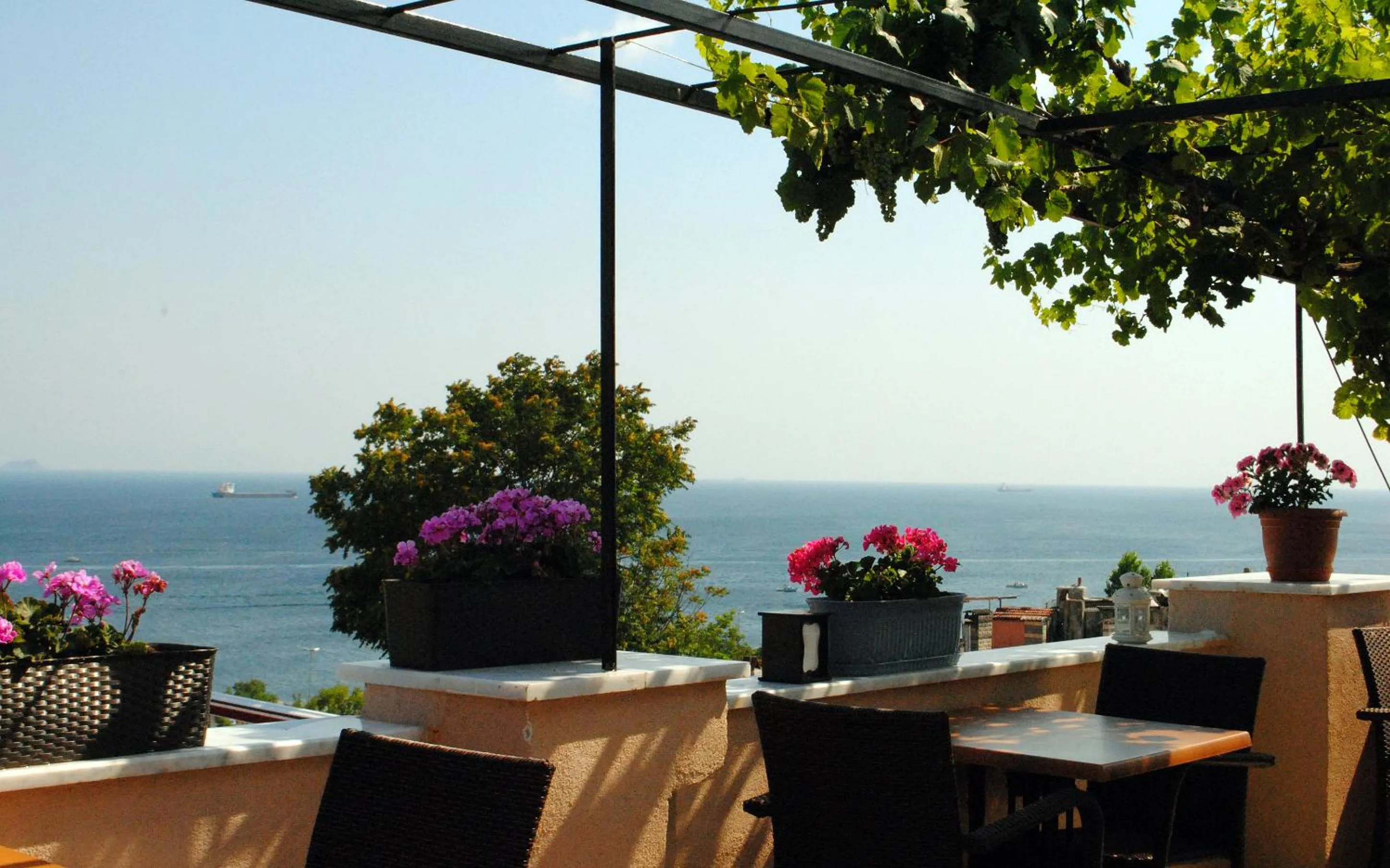 Day in Hotel Buhara Family Inn