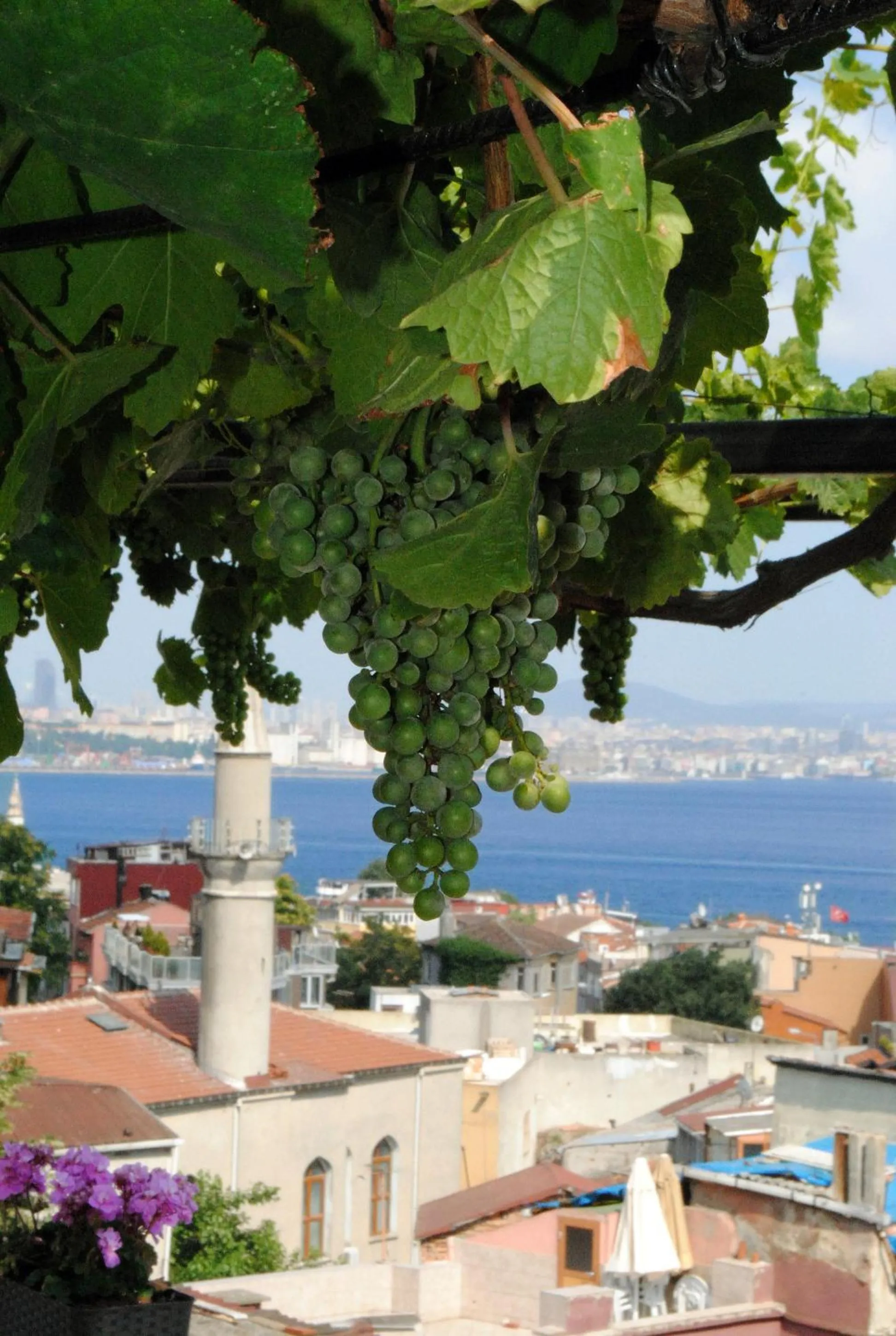 Day in Hotel Buhara Family Inn