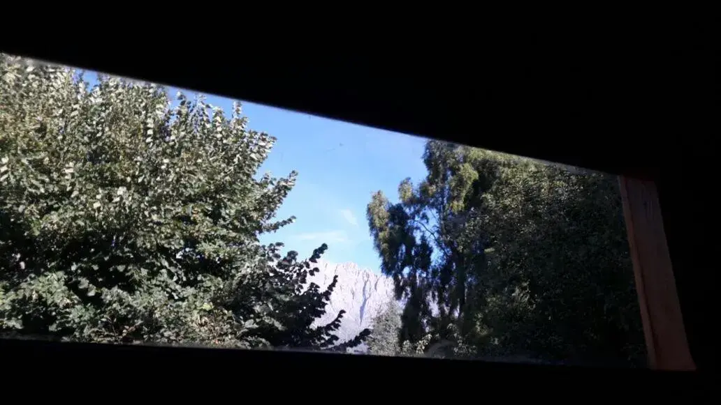 Los Pinos Los Pinos