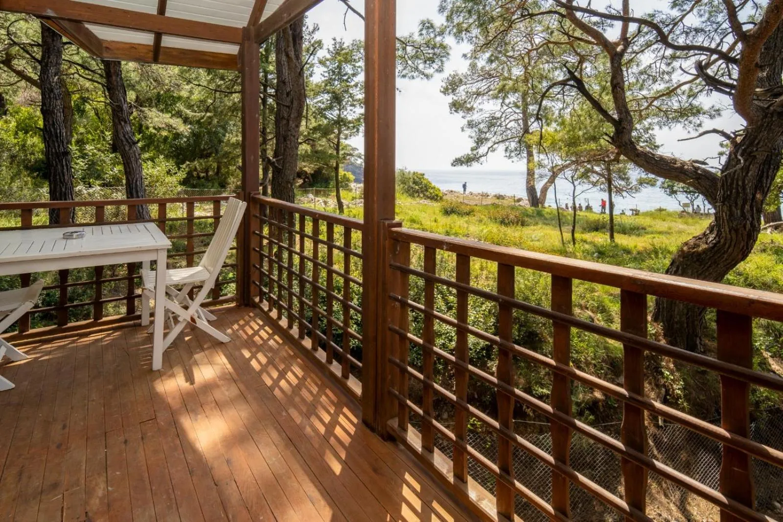 Spring in Sea Valley Lodge