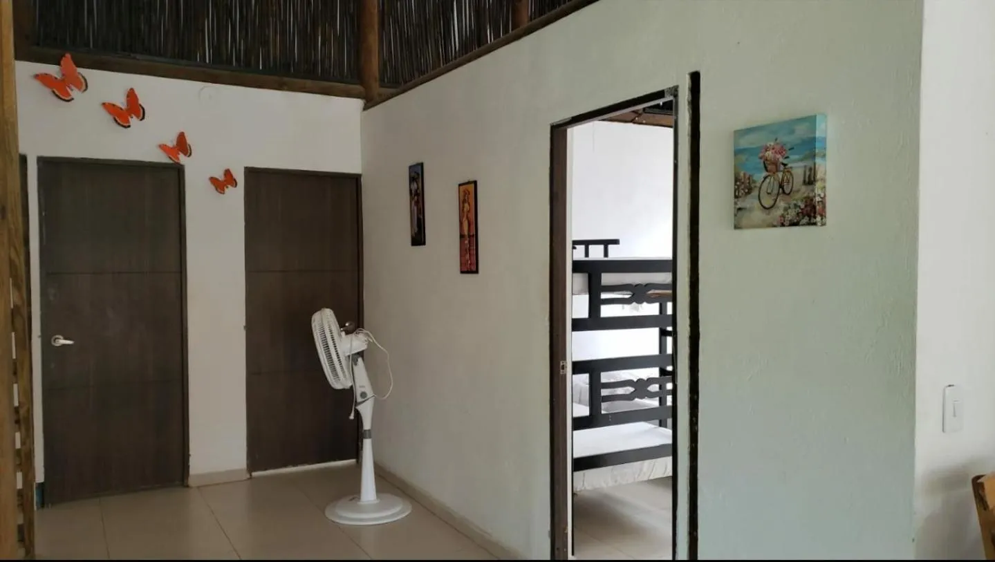 Indigo Palomino Beautiful House